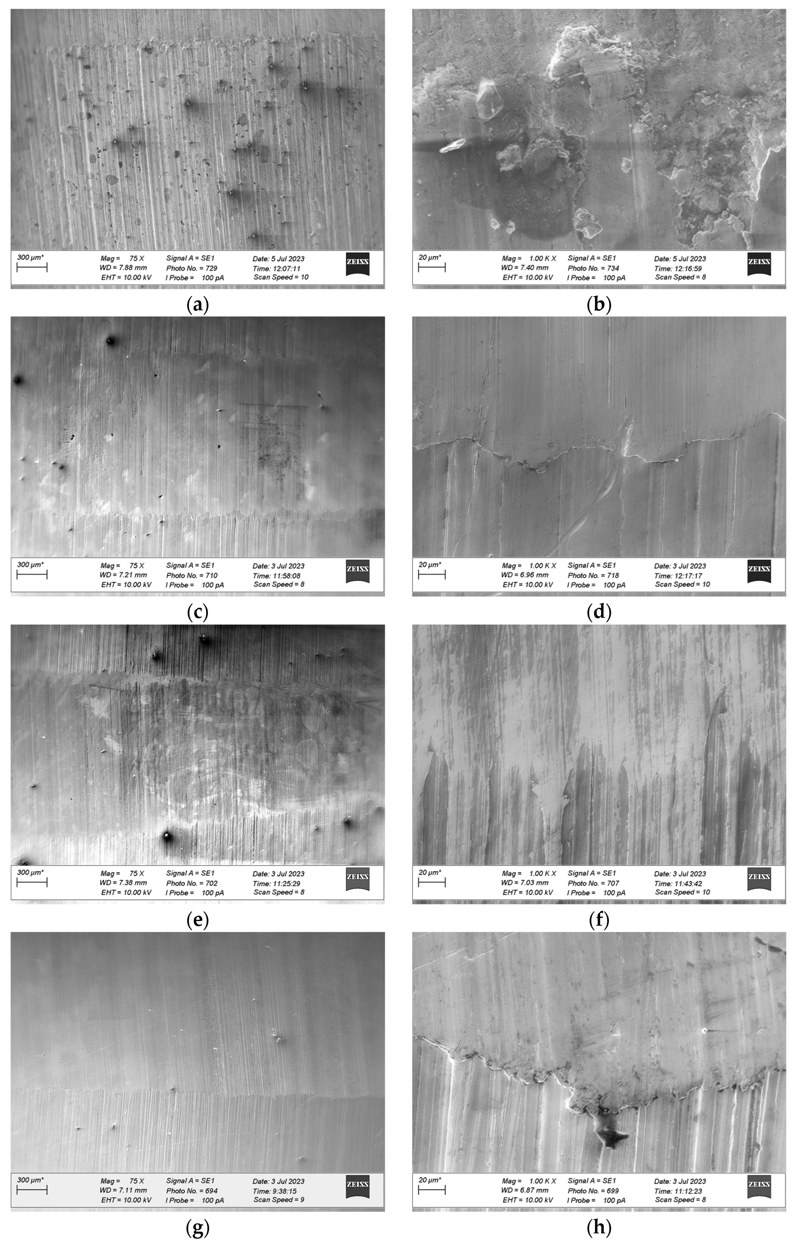 Materials 18 03283 g010