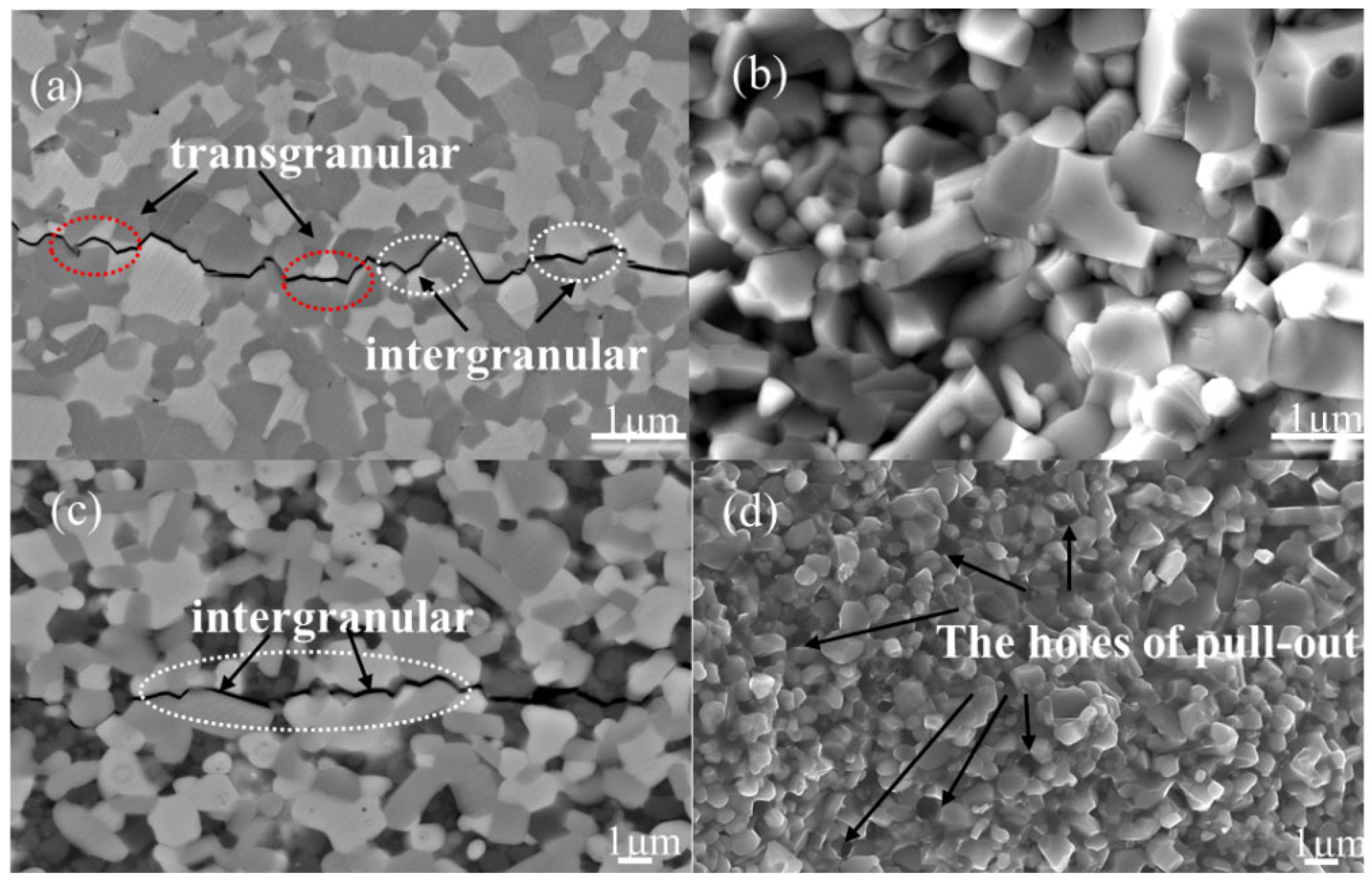 Materials 18 03297 g008