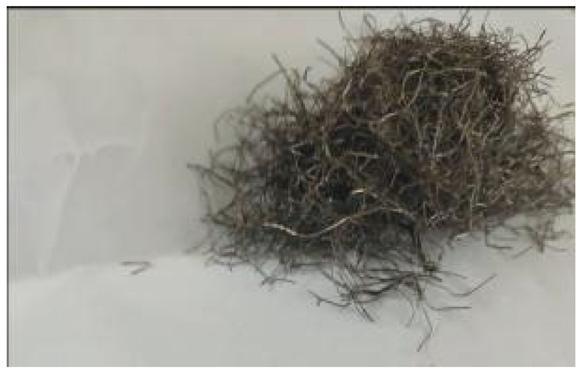 Materials 18 03300 g001