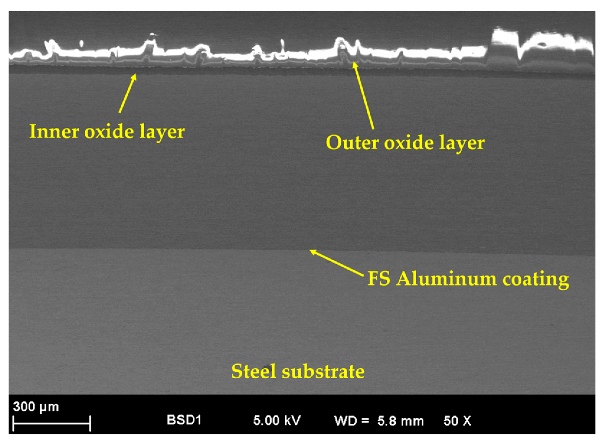 Materials 18 03302 g006