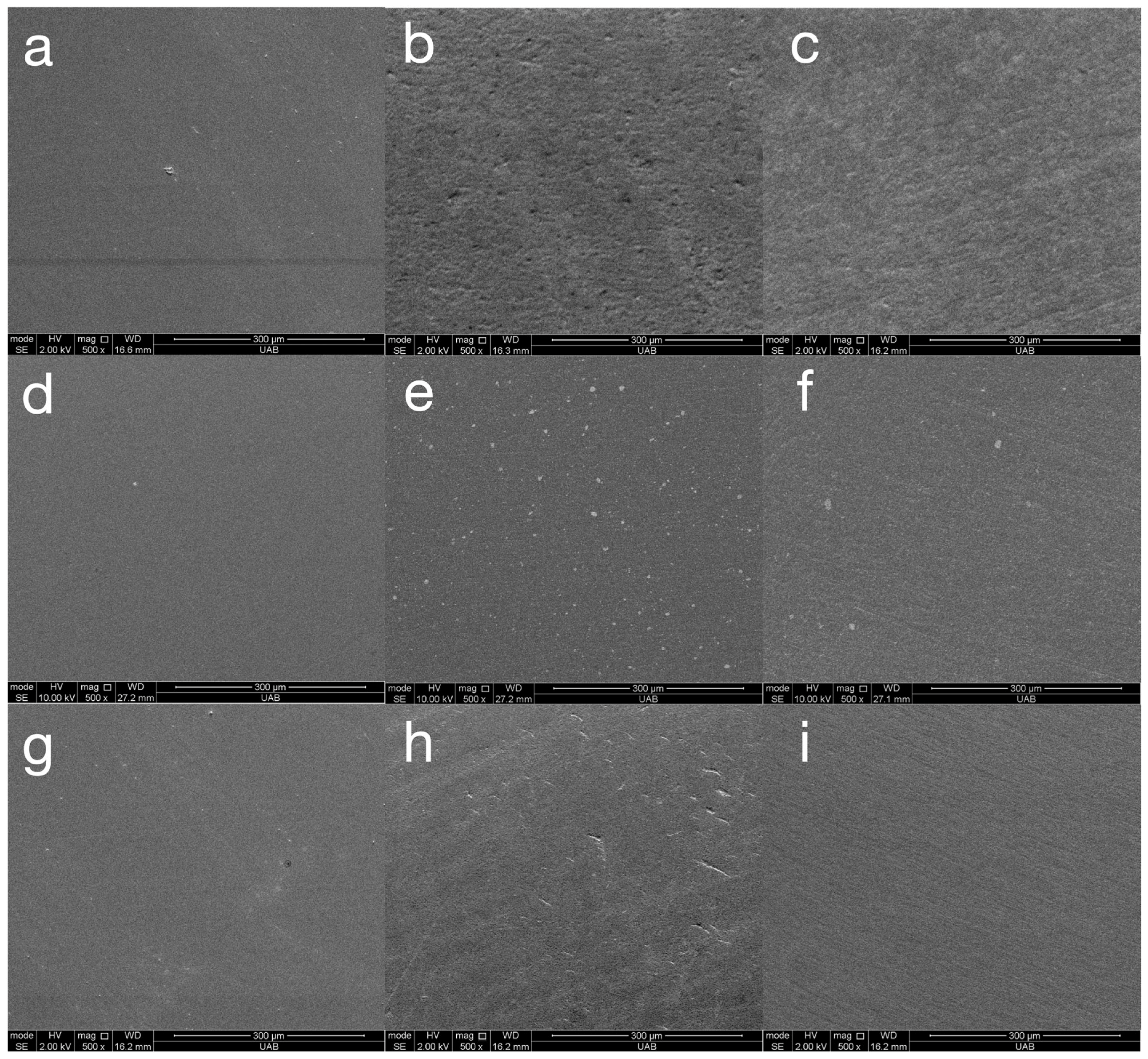 Materials 18 03308 g004