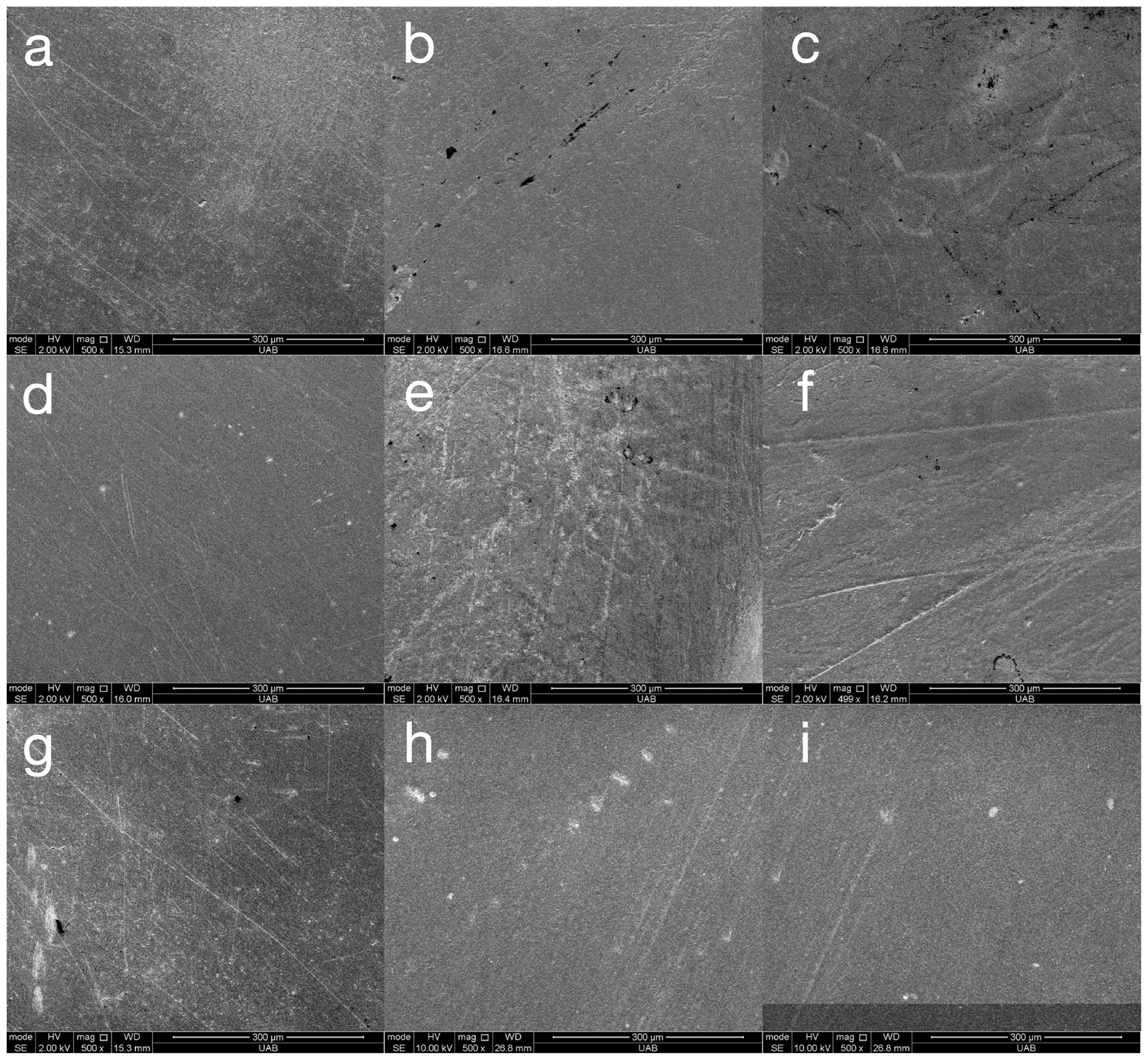 Materials 18 03308 g005