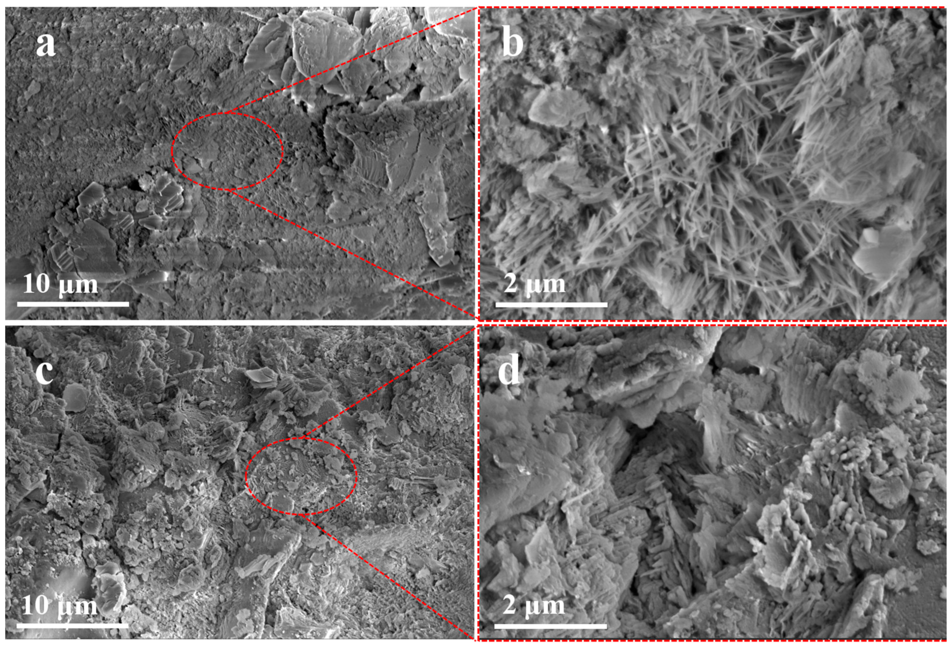 Materials 18 03326 g007