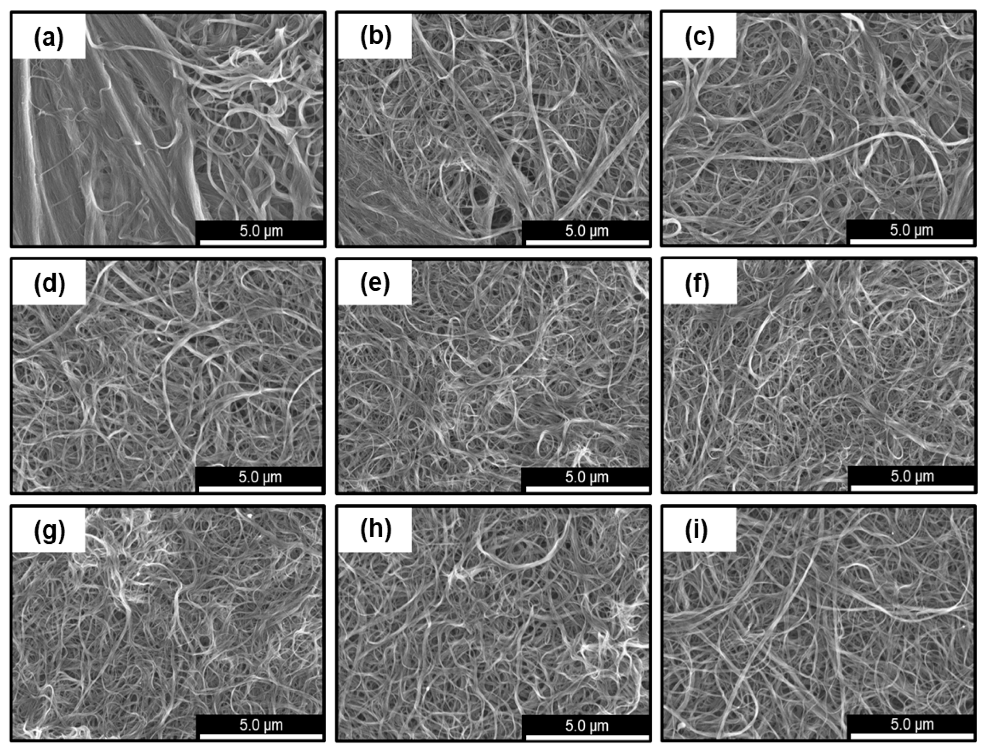 Materials 18 03339 g005