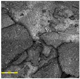 Materials 18 03342 i005