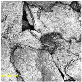 Materials 18 03342 i008