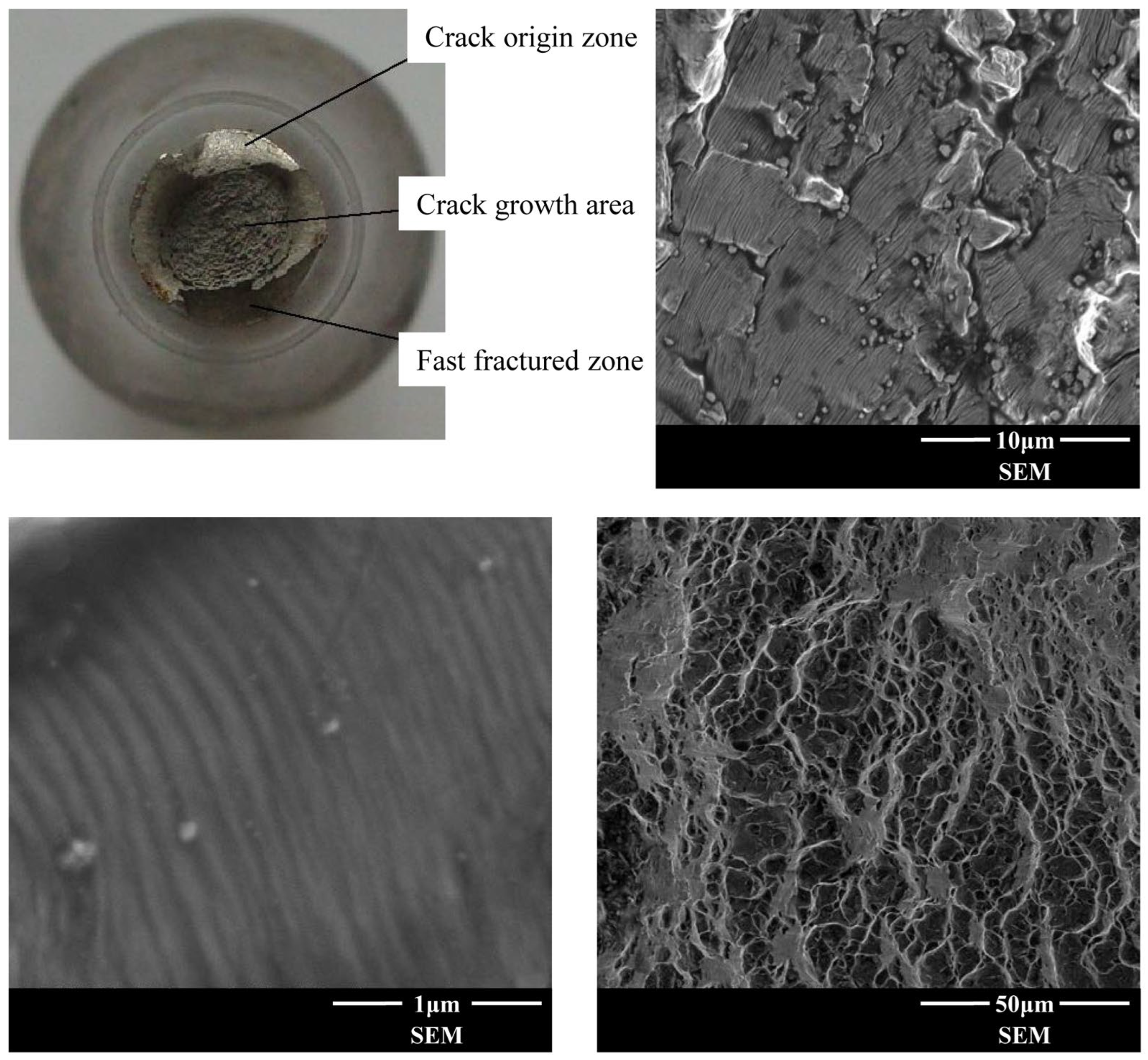 Materials 18 03354 g005