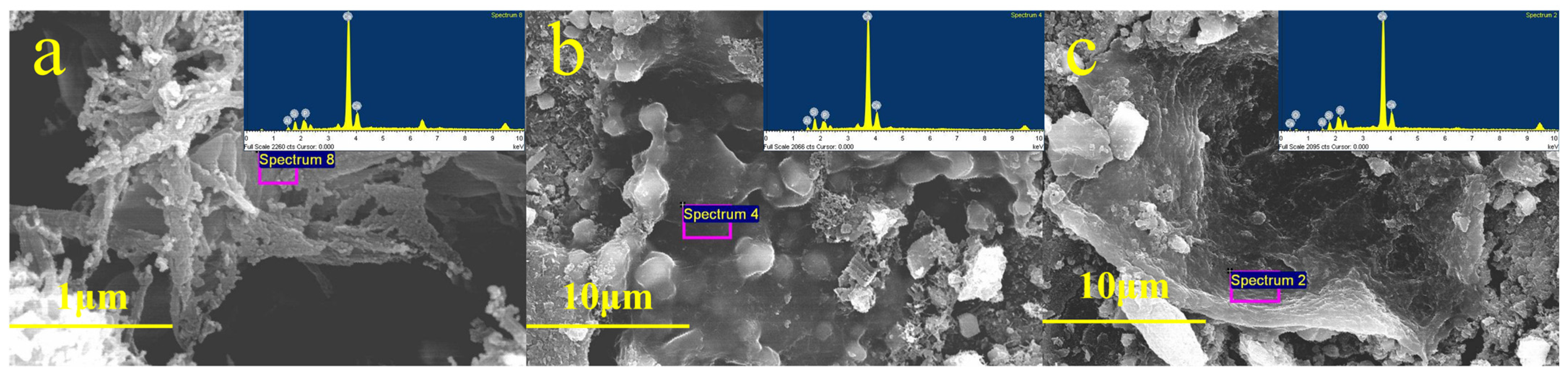 Materials 18 03360 g008