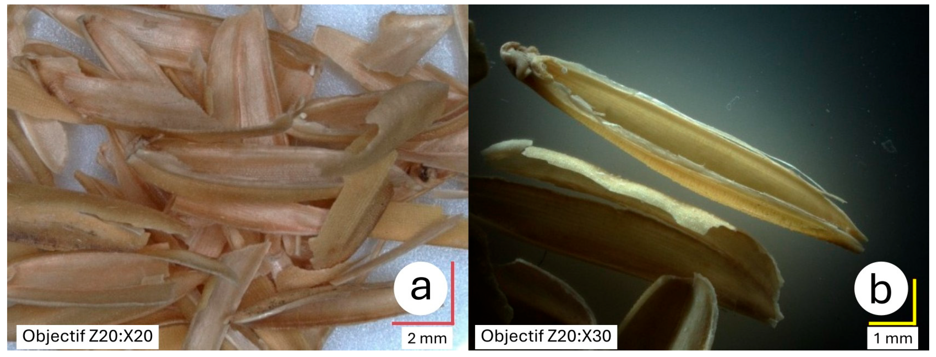 Materials 18 03364 g002