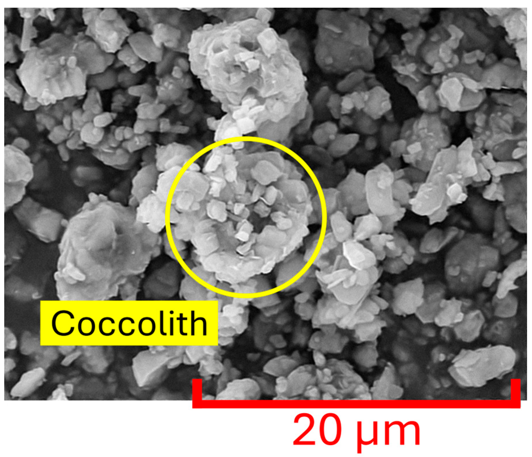 Materials 18 03364 g007