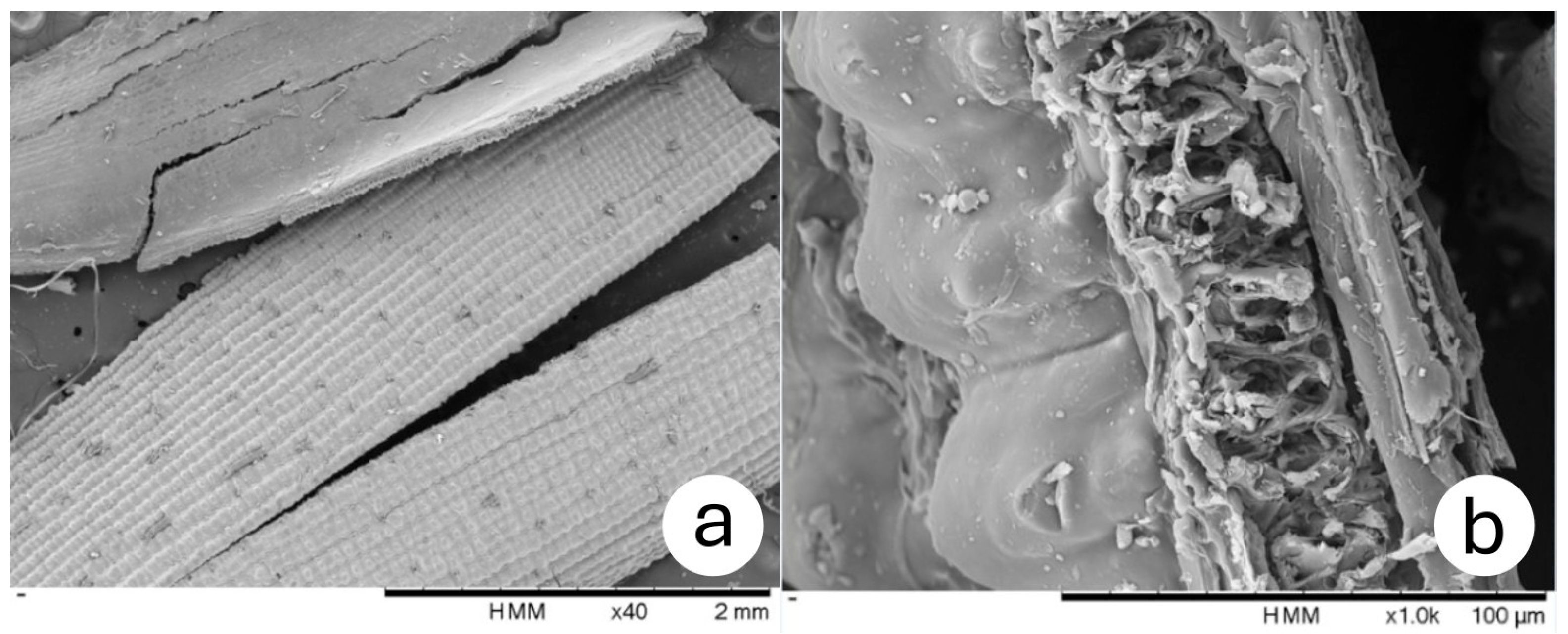 Materials 18 03364 g009