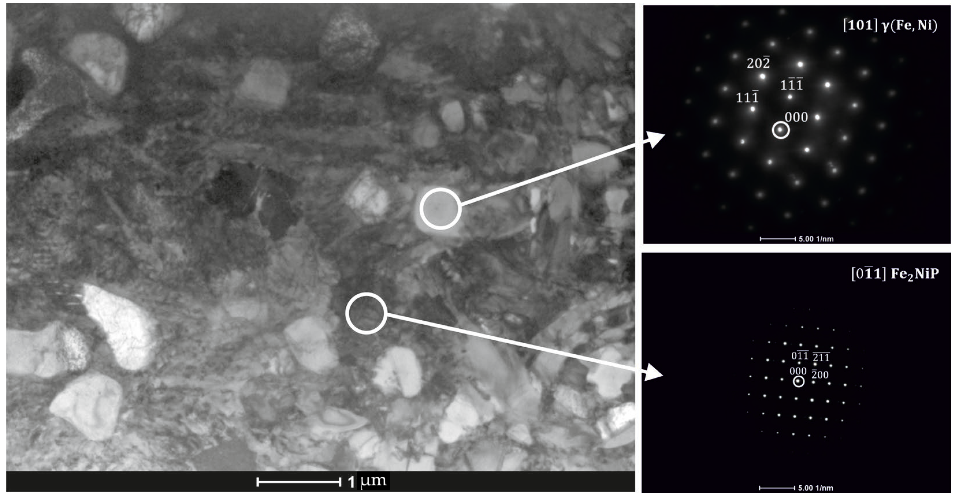 Materials 18 03376 g007