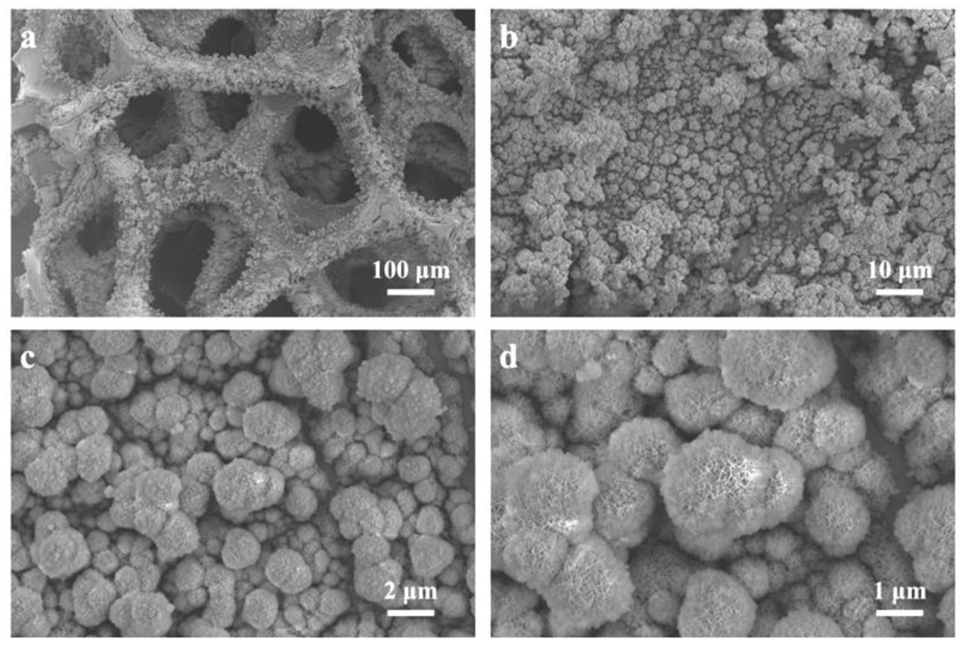 Materials 18 03377 g004