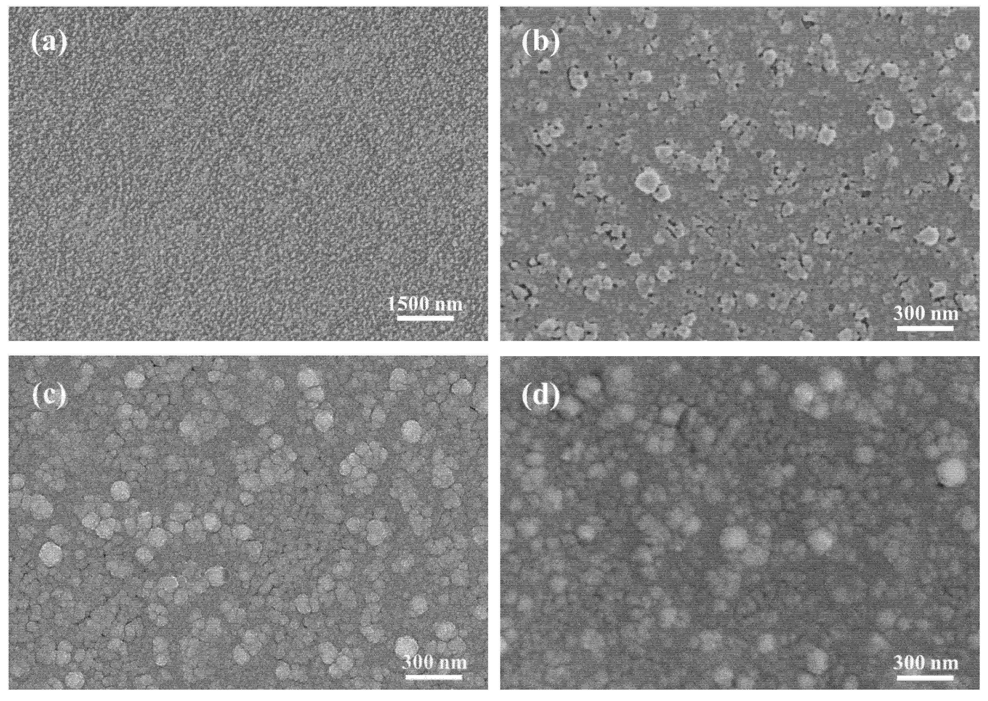 Materials 18 03389 g002