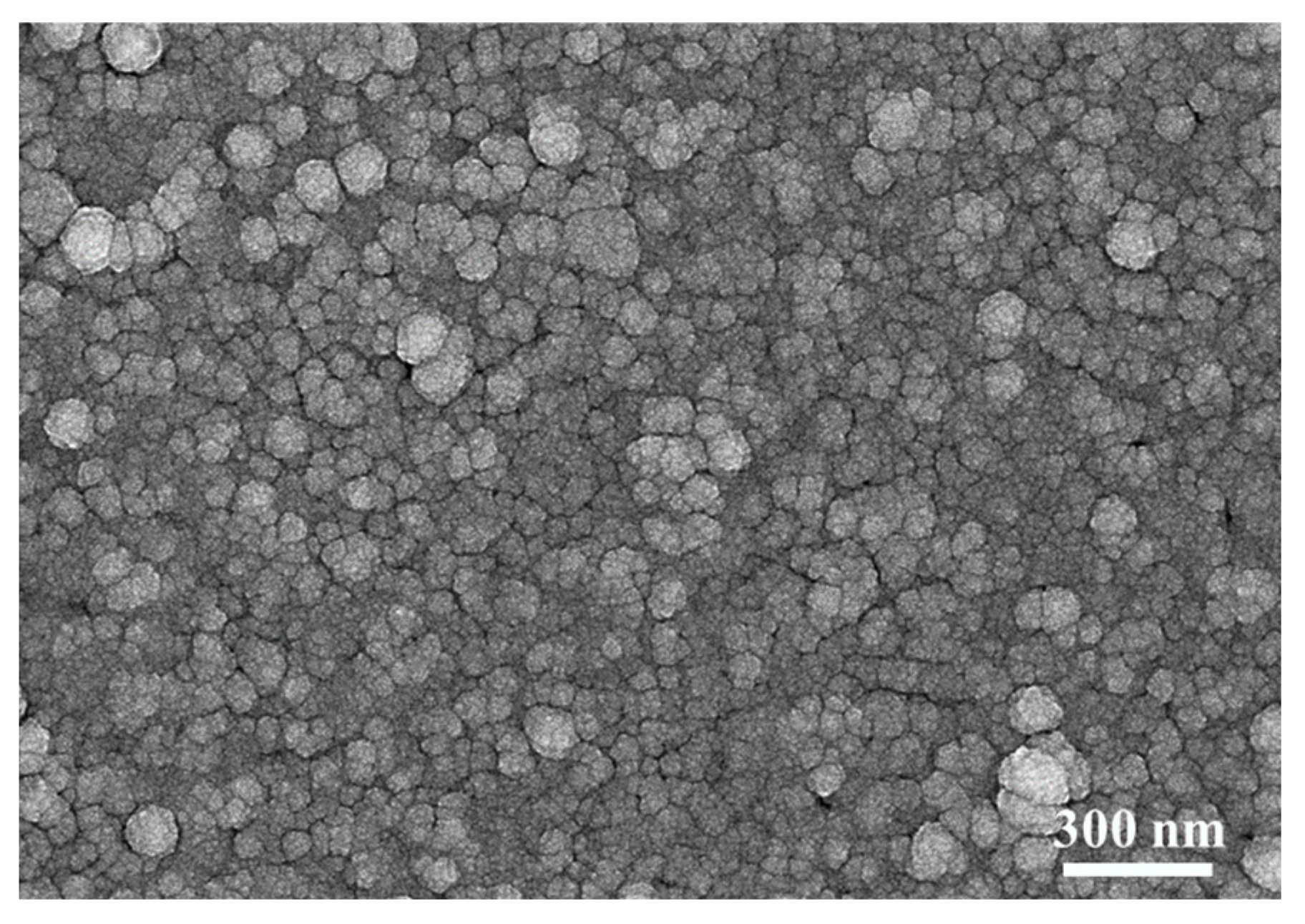 Materials 18 03389 g004