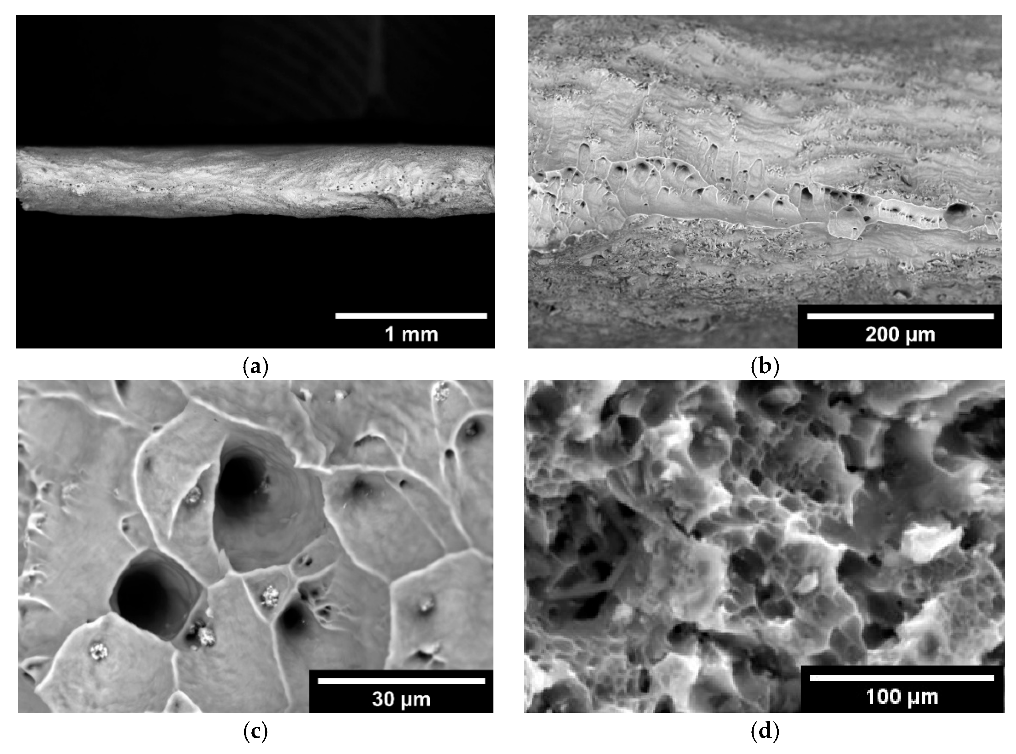 Materials 18 03391 g004