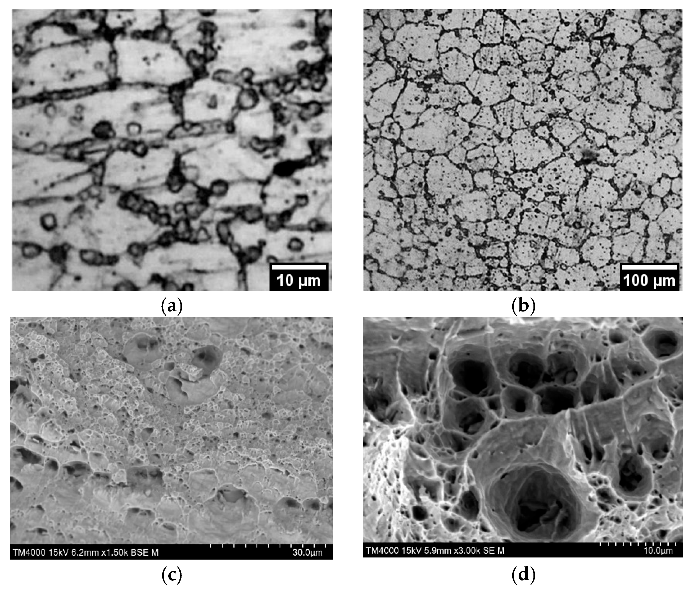 Materials 18 03391 g007