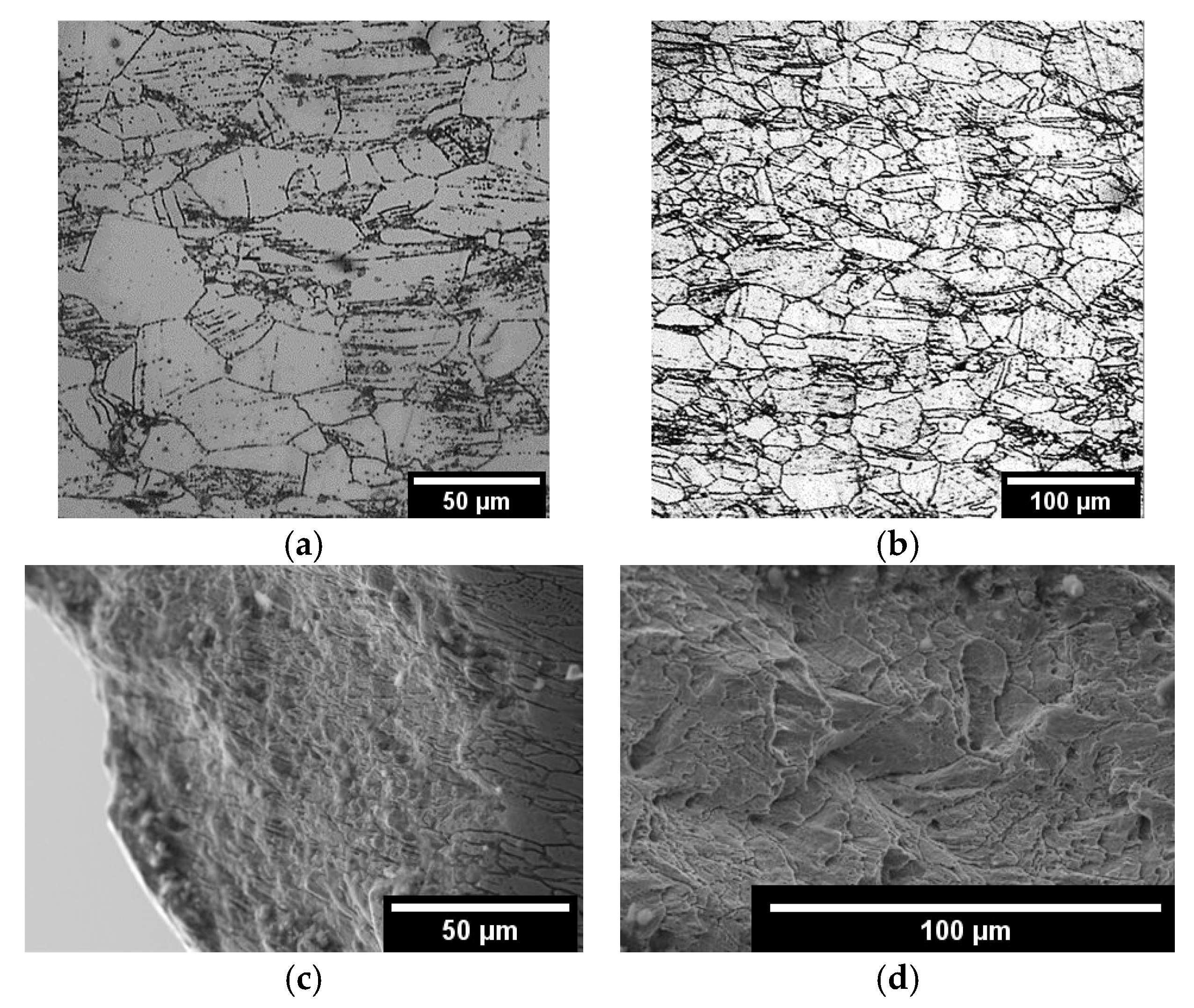 Materials 18 03391 g008