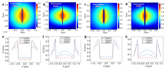 Femtosecond Laser Irradiation Induced Heterojunctions