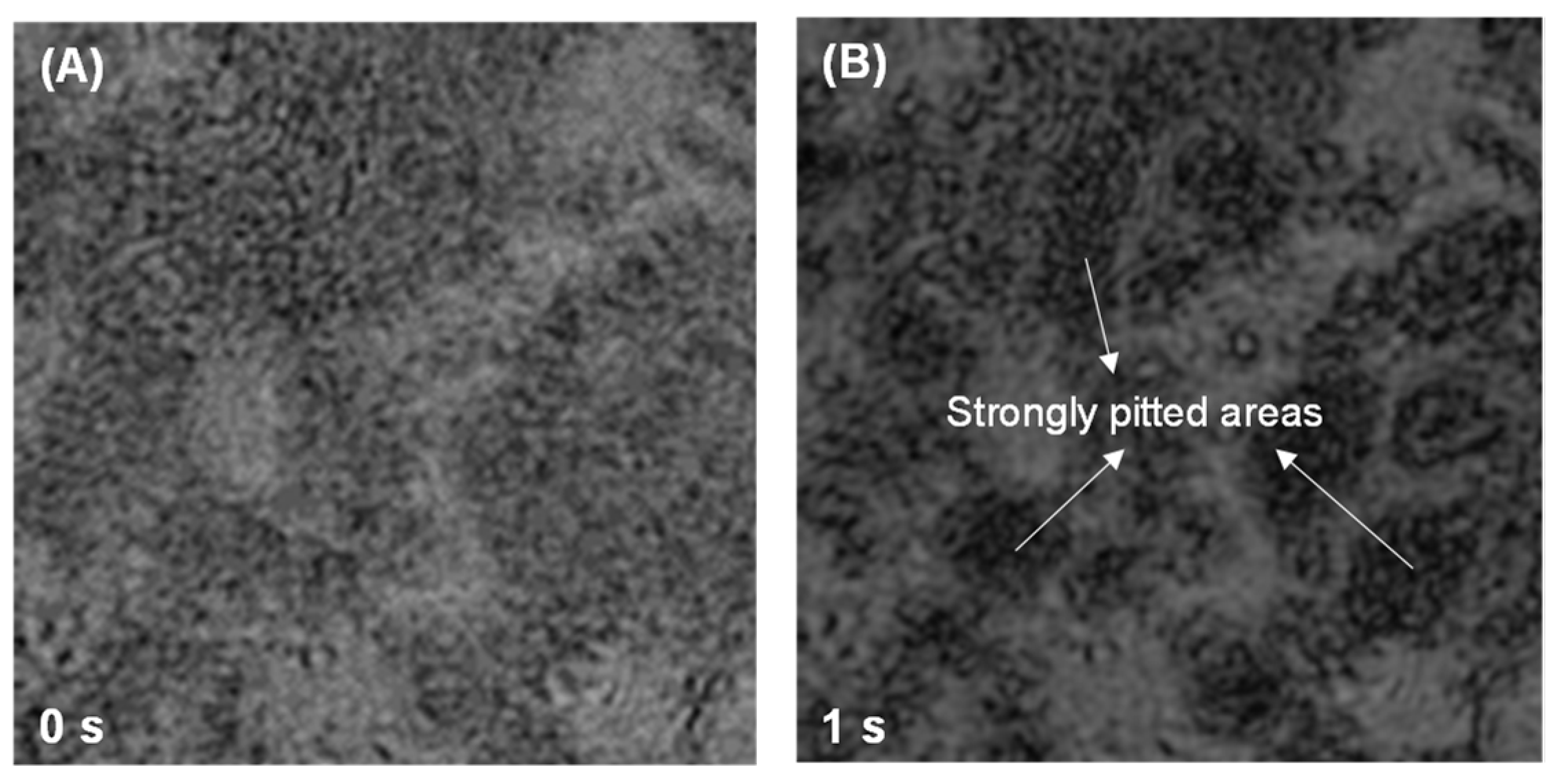 Materials 18 03399 g006