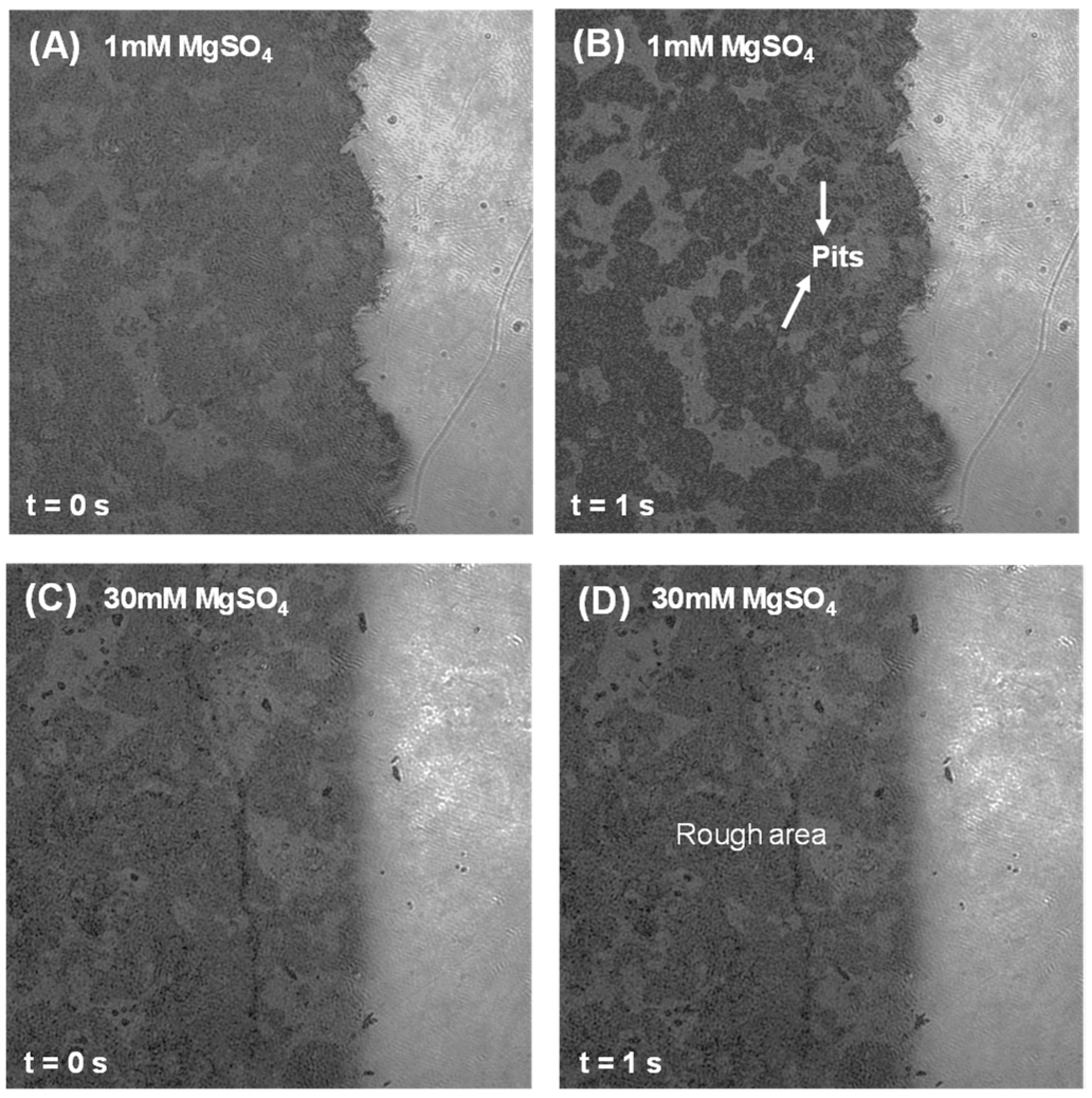 Materials 18 03399 g011