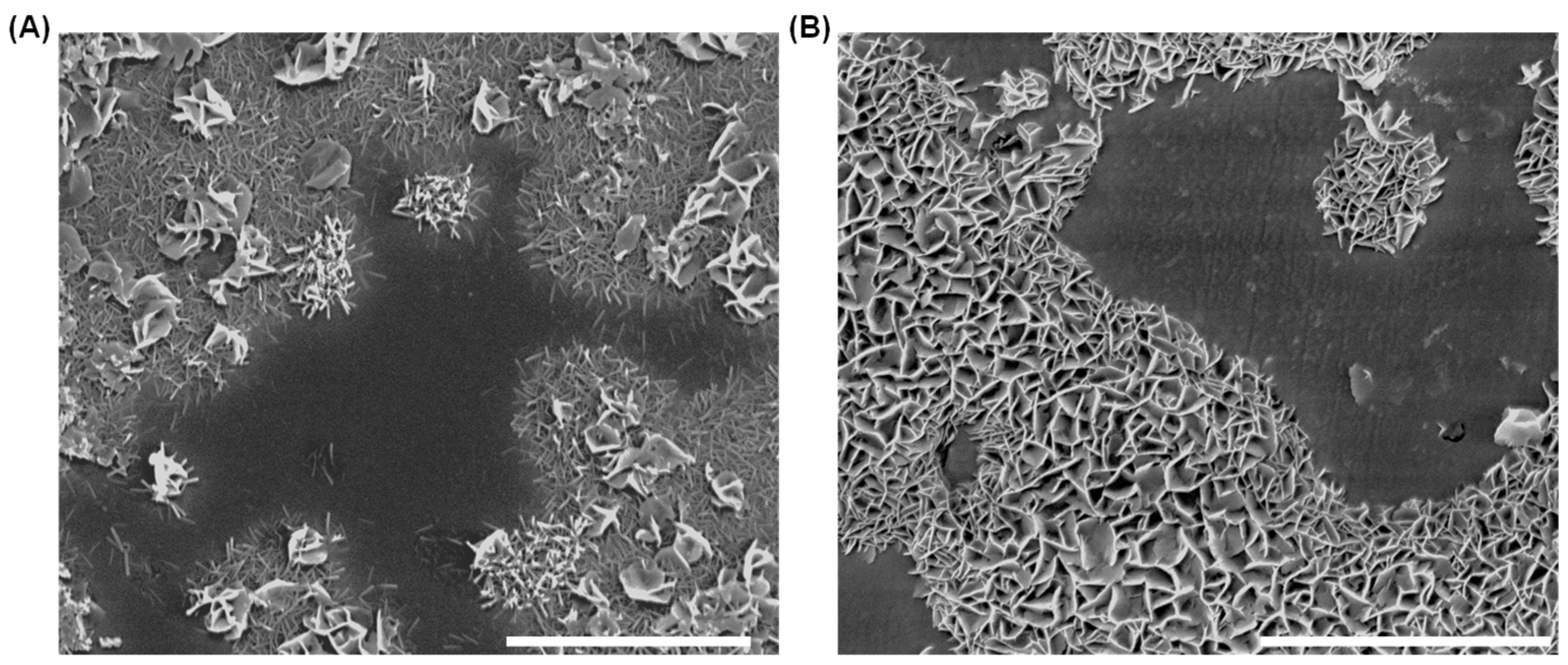 Materials 18 03399 g013