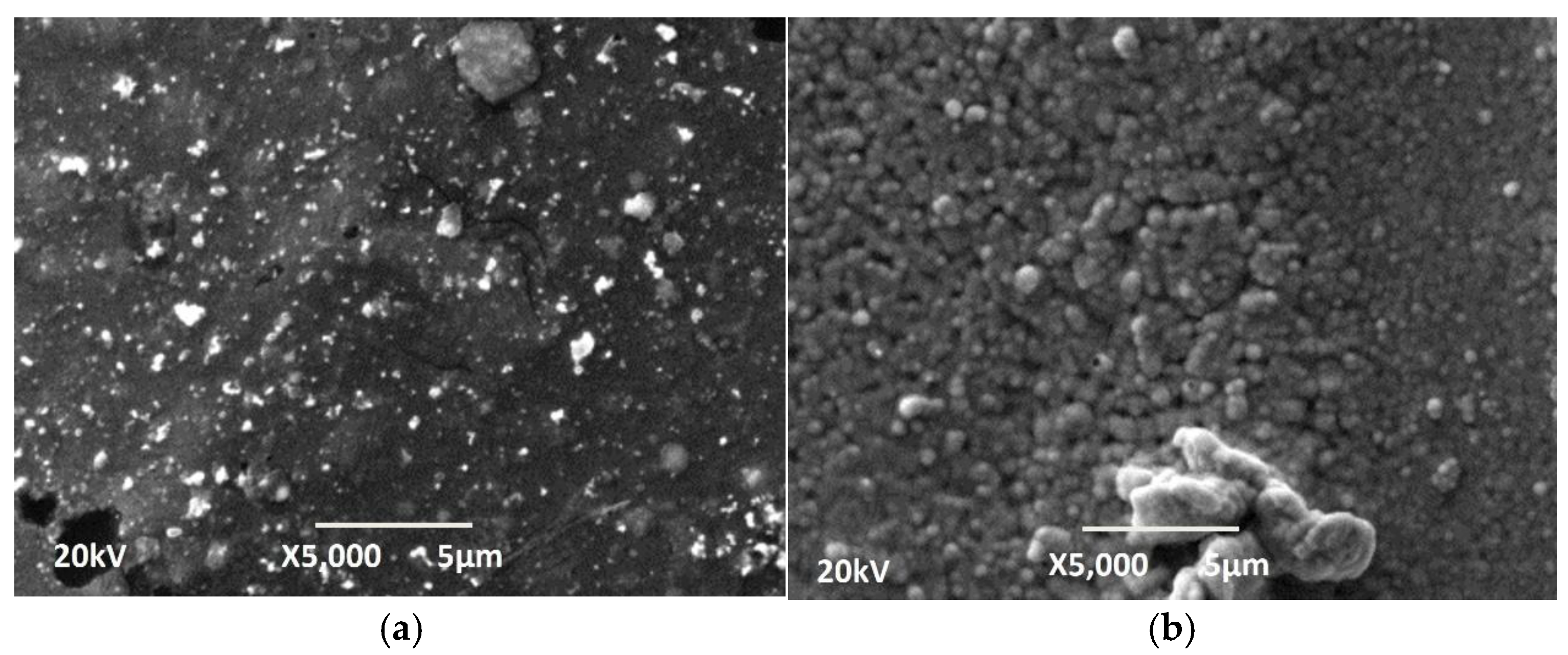 Materials 18 03401 g004