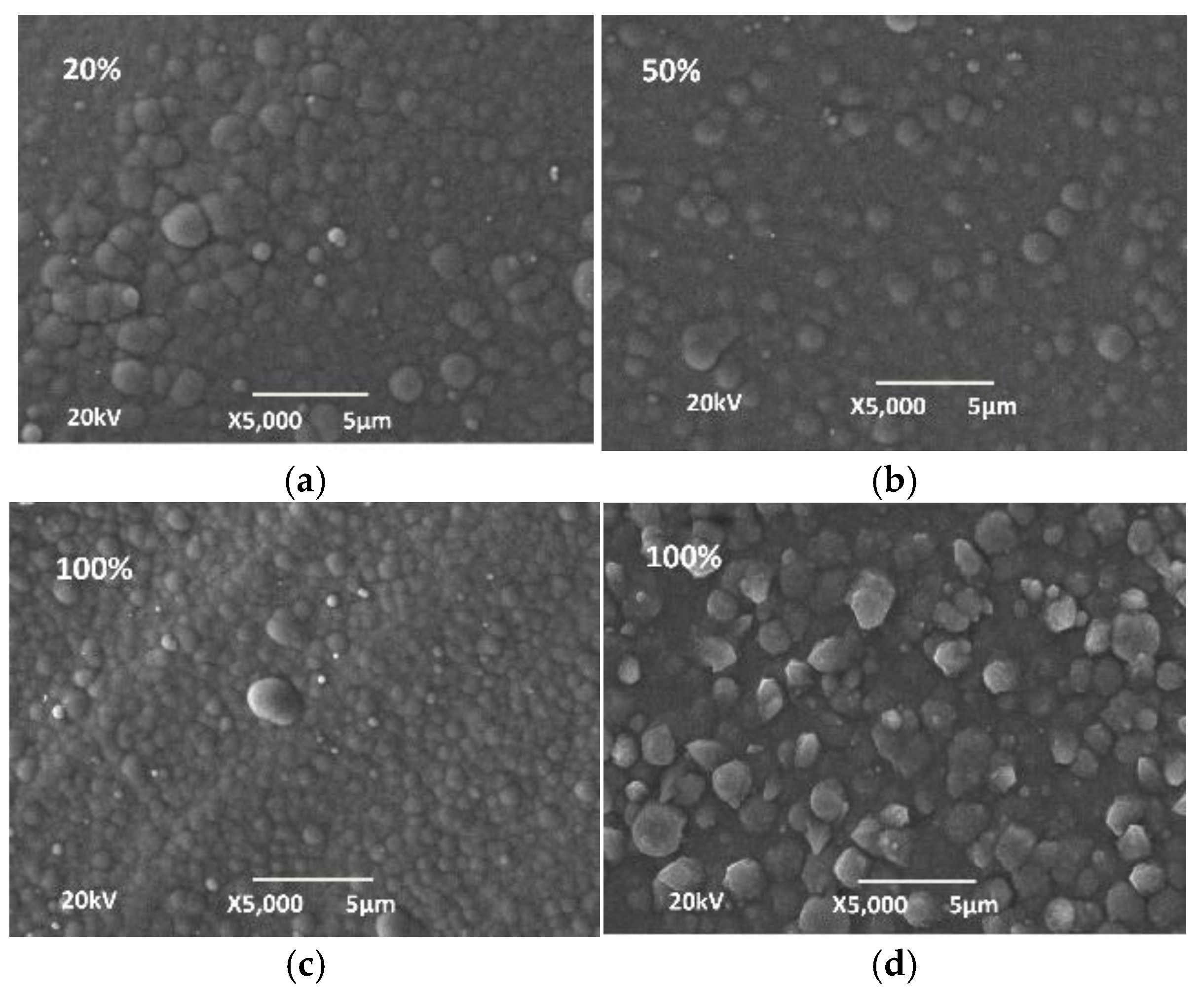 Materials 18 03401 g007