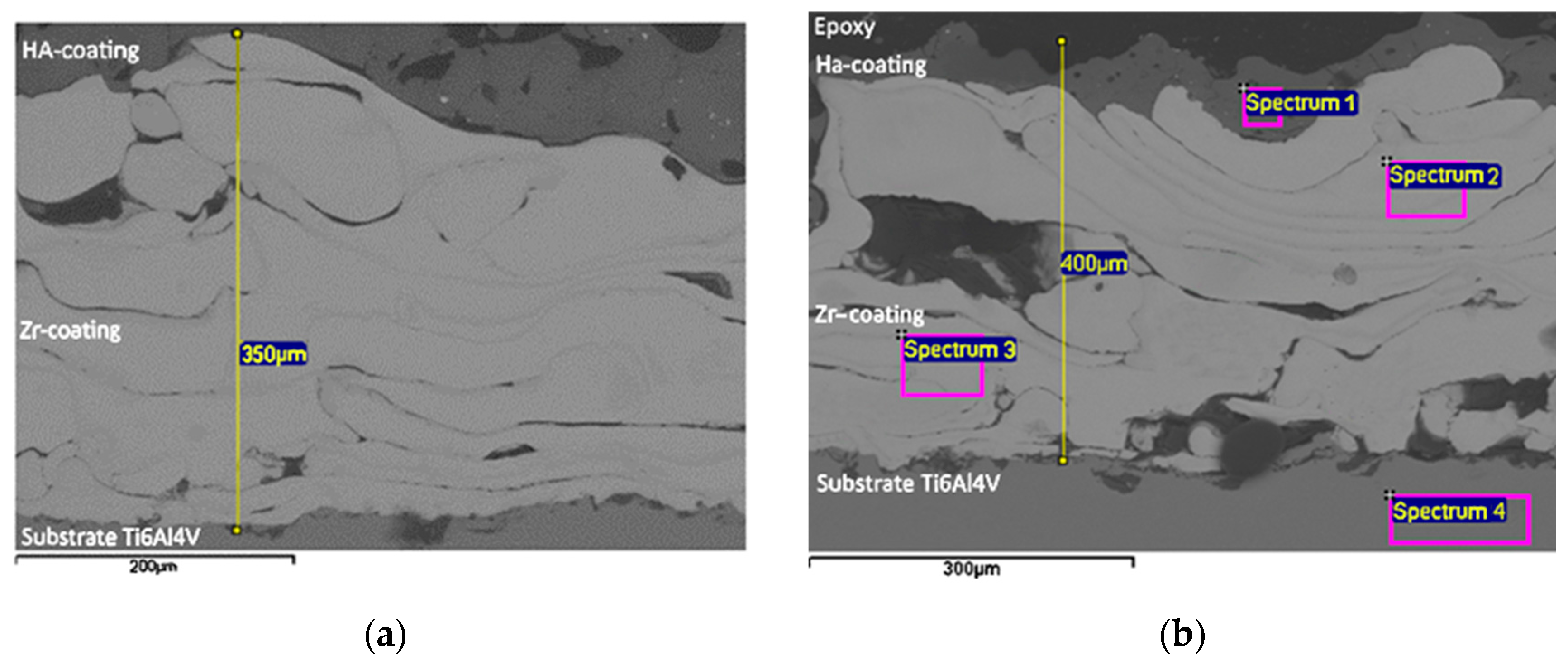 Materials 18 03405 g006