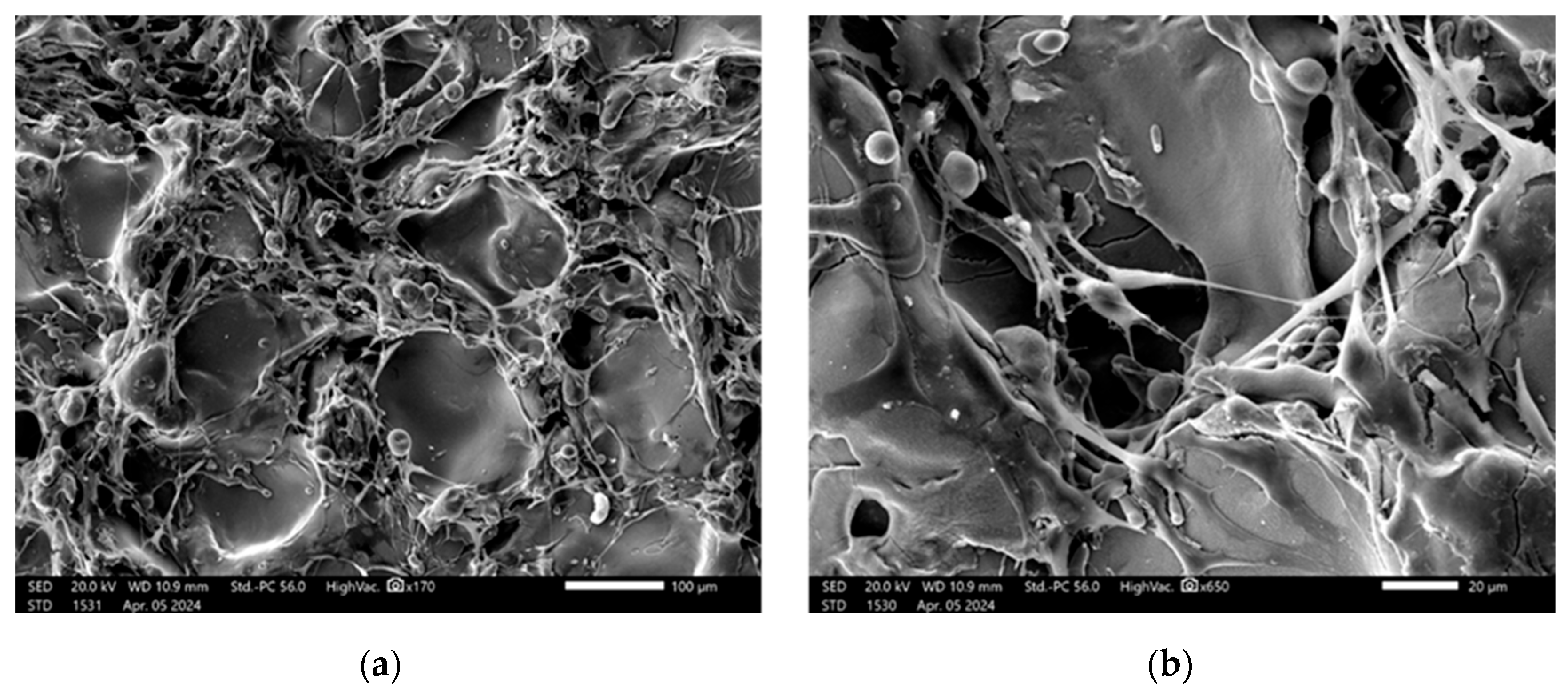 Materials 18 03405 g013a