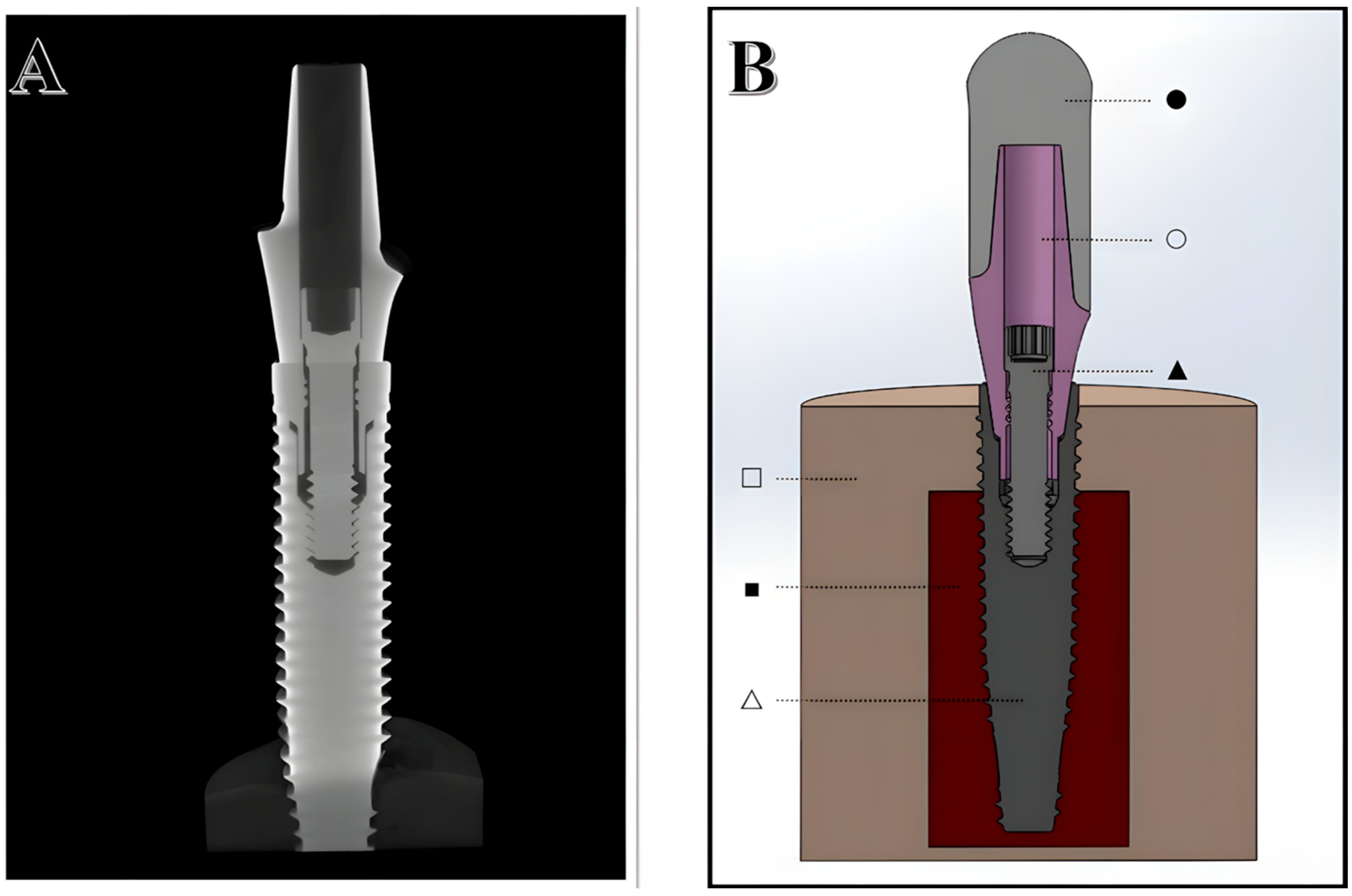 Materials 18 03420 g001