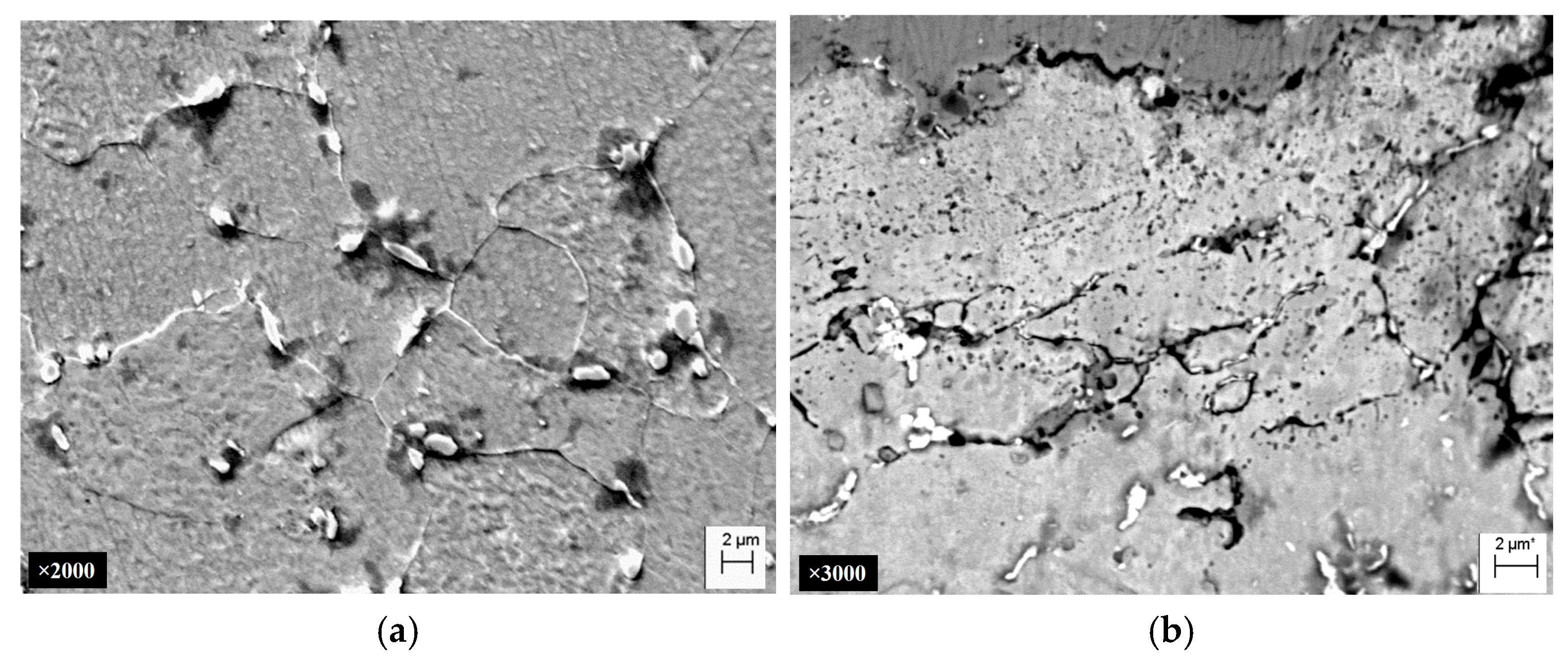 Materials 18 03421 g004