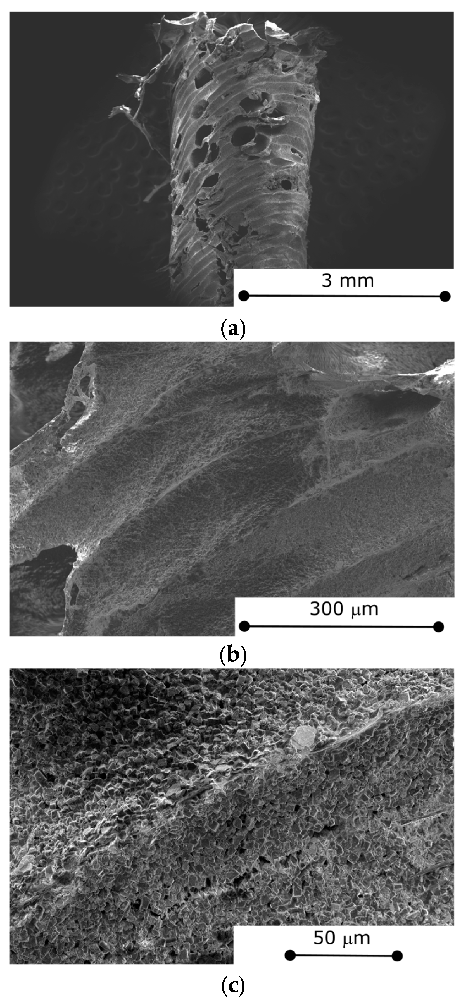 Materials 18 03428 g004