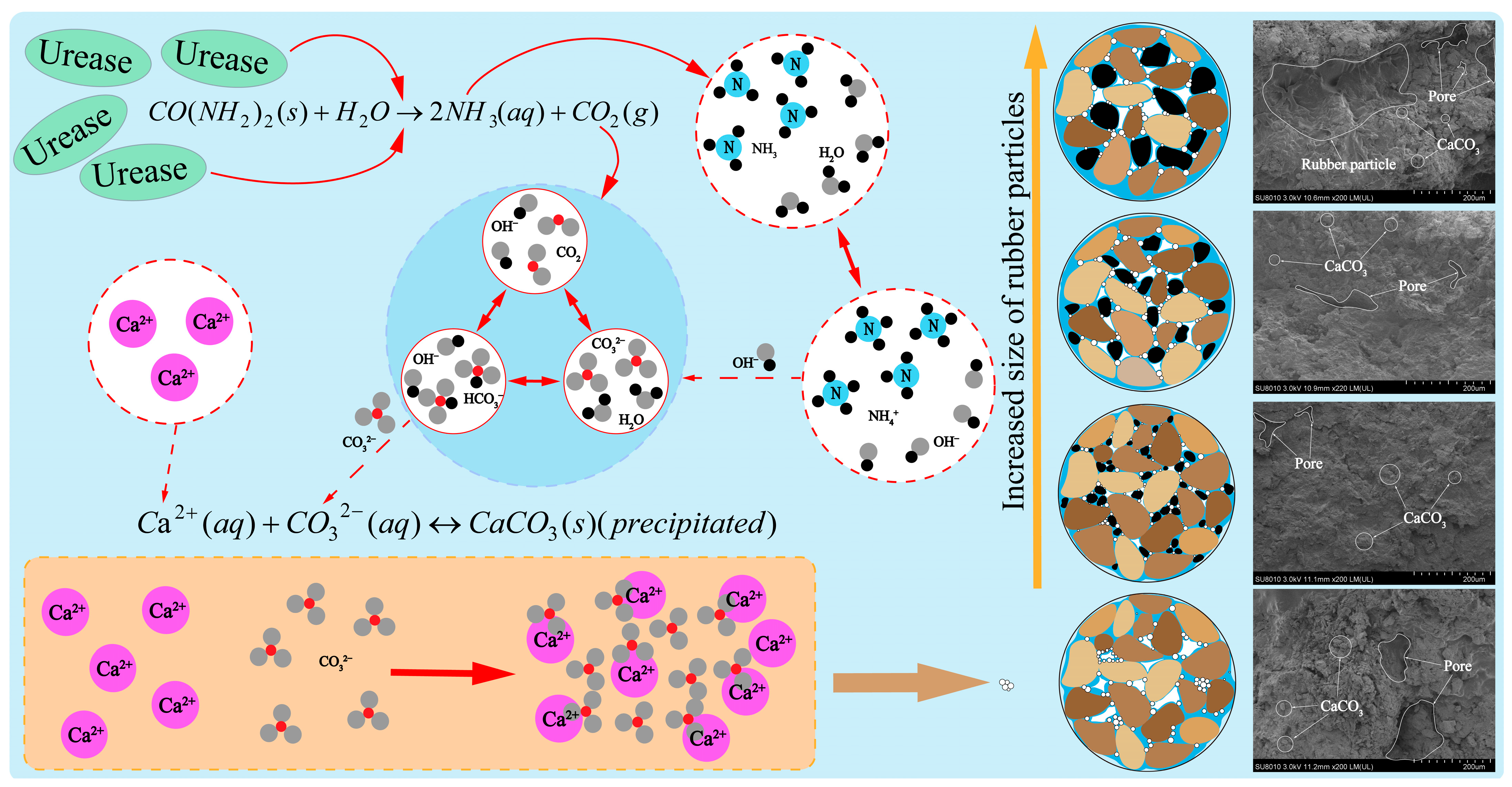 Materials 18 03429 g014