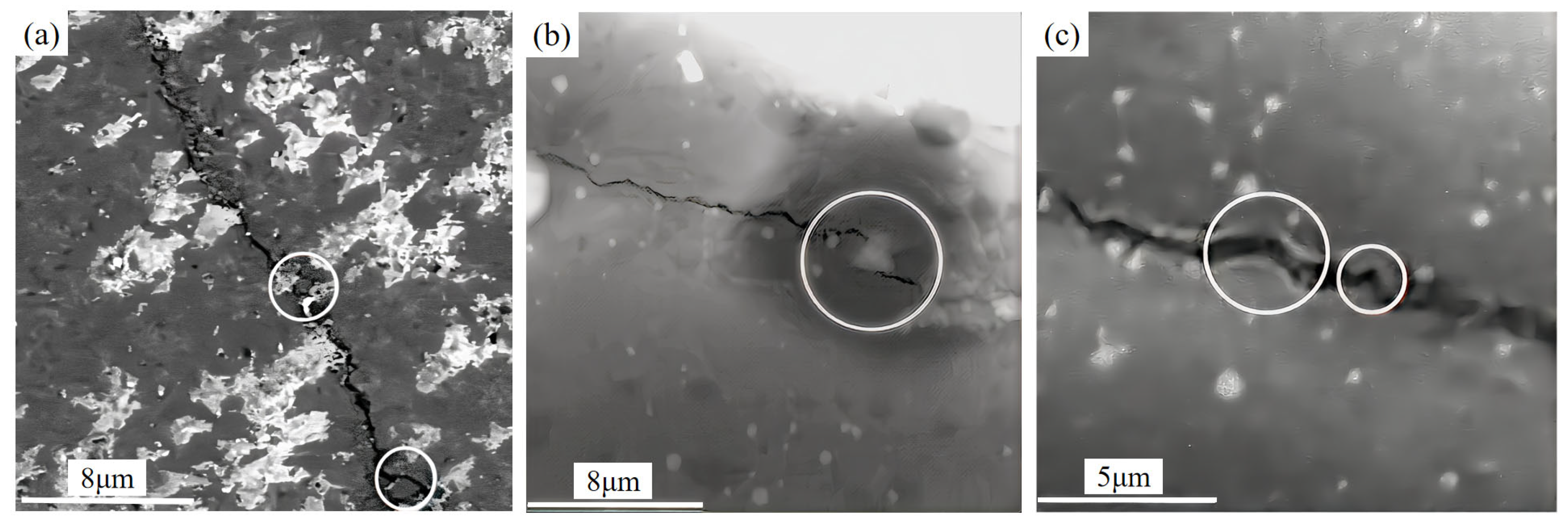 Materials 18 03440 g010