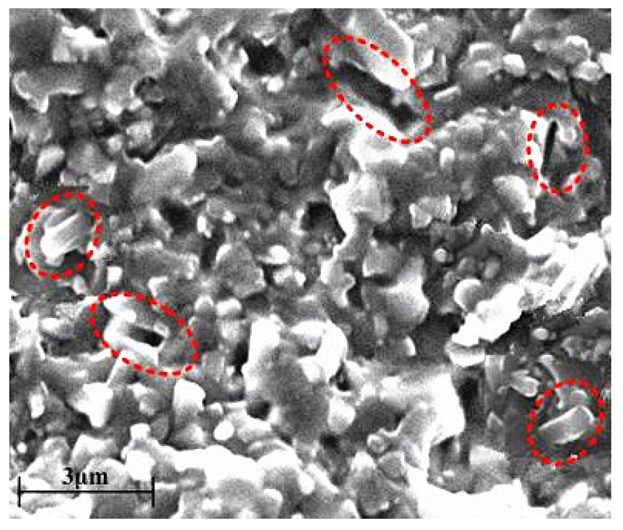 Materials 18 03440 g012