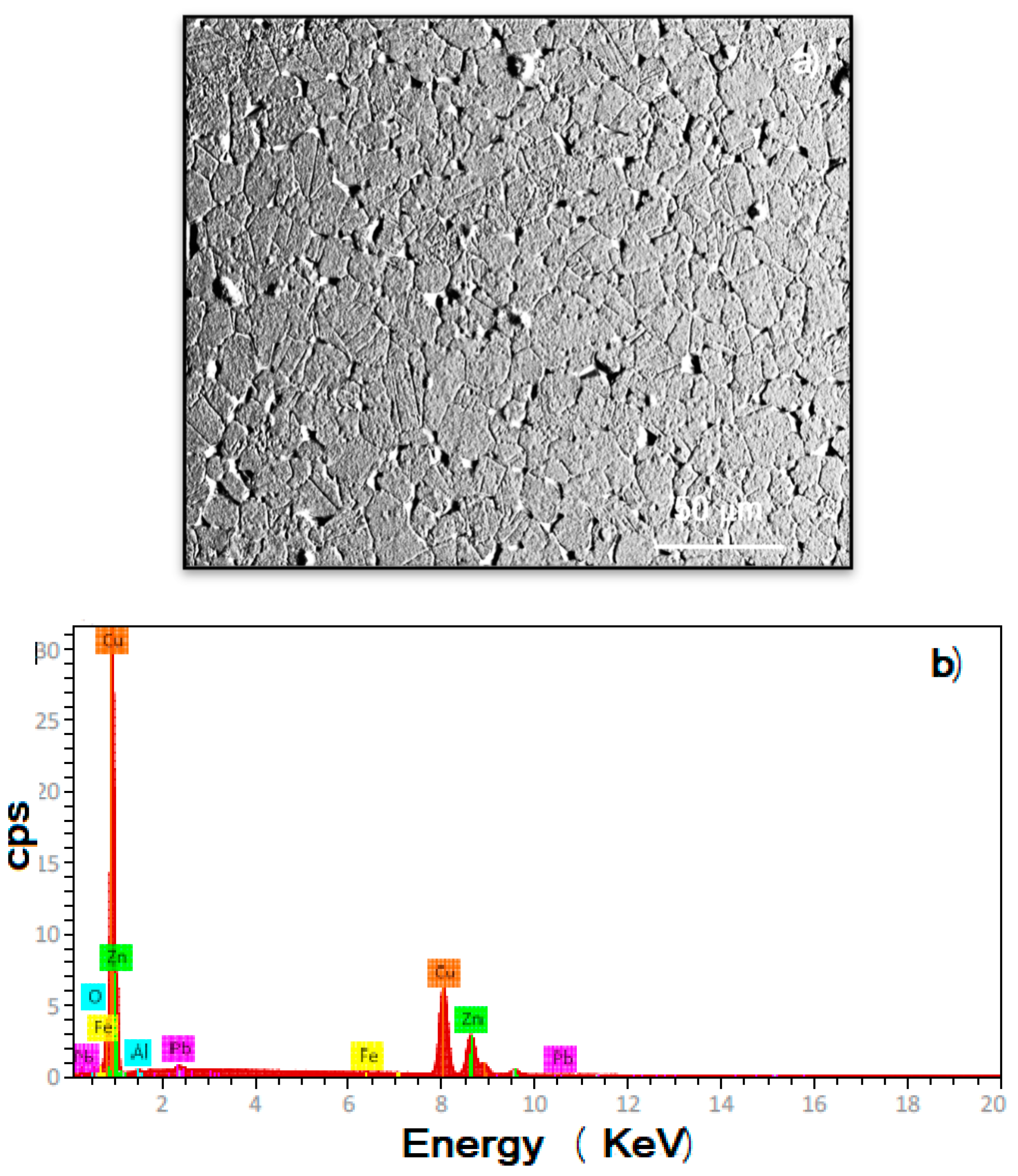 Materials 18 03449 g001