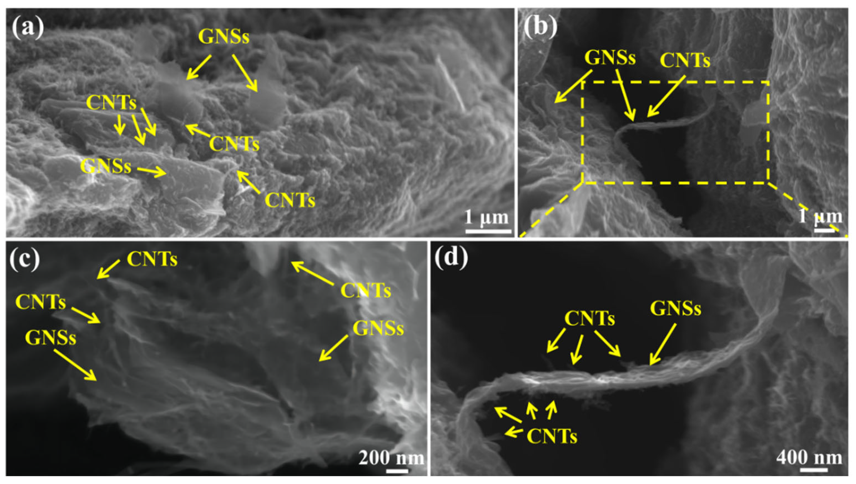 Materials 18 03455 g004