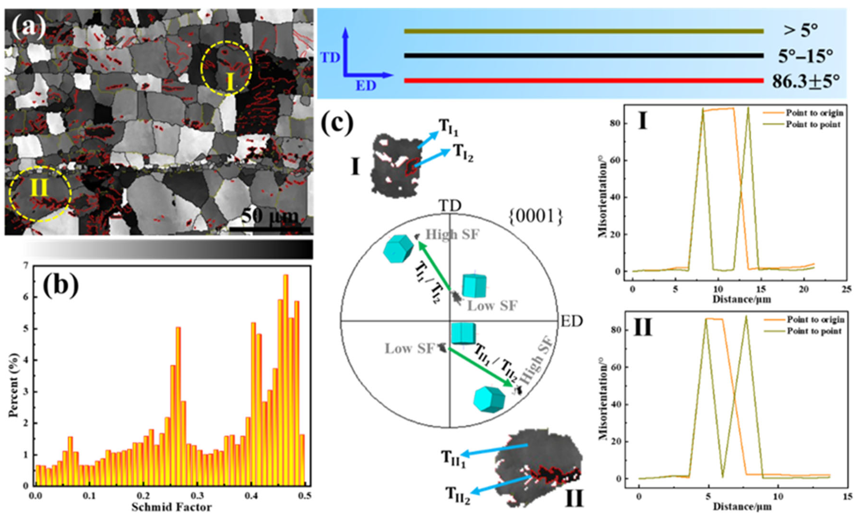 Materials 18 03455 g010