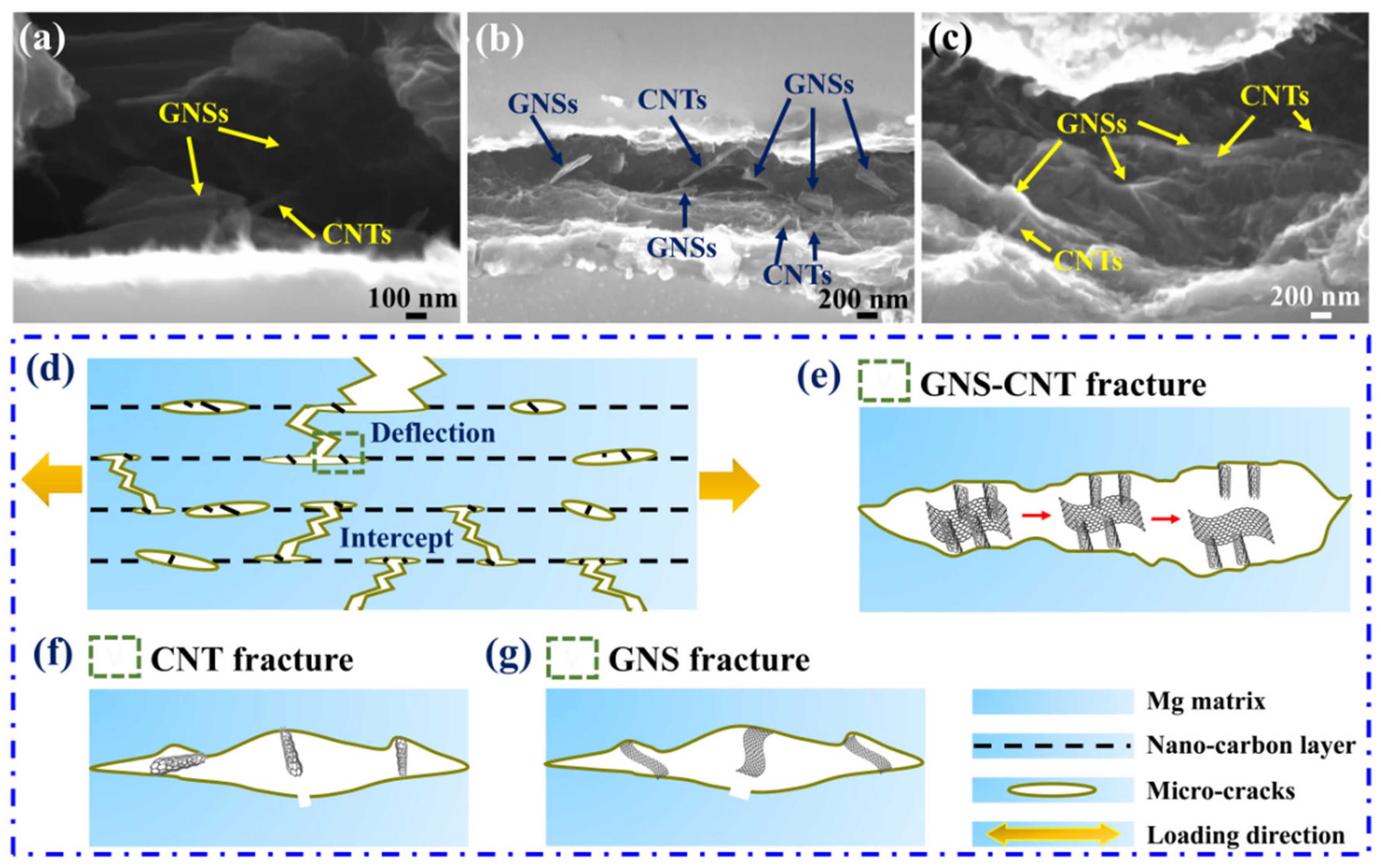 Materials 18 03455 g012