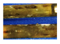 Materials 18 03460 i006