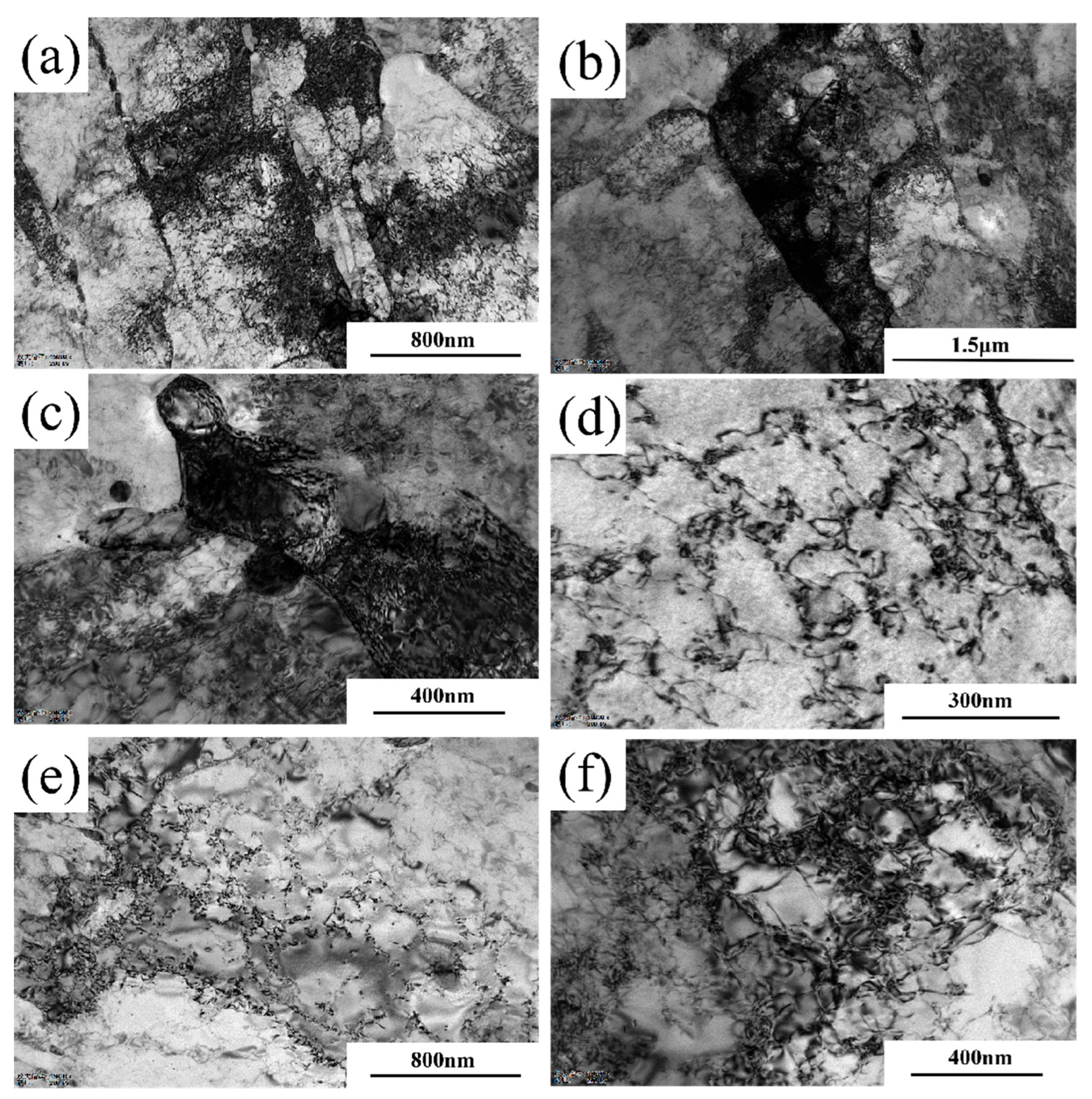 Materials 18 03462 g011