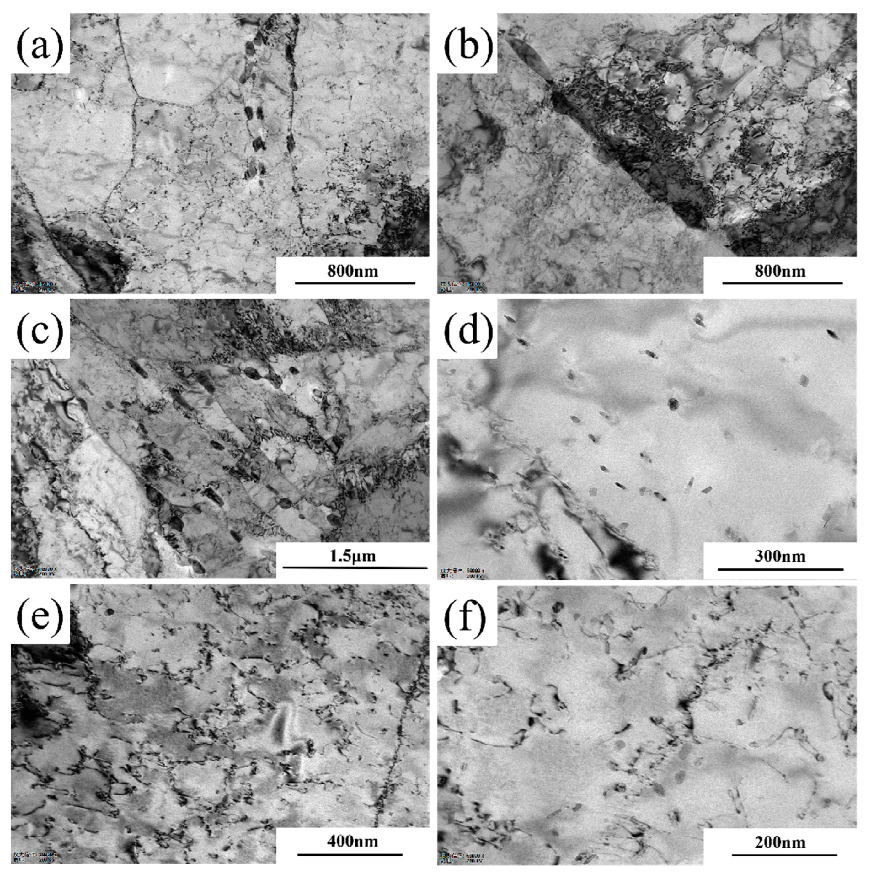 Materials 18 03462 g012