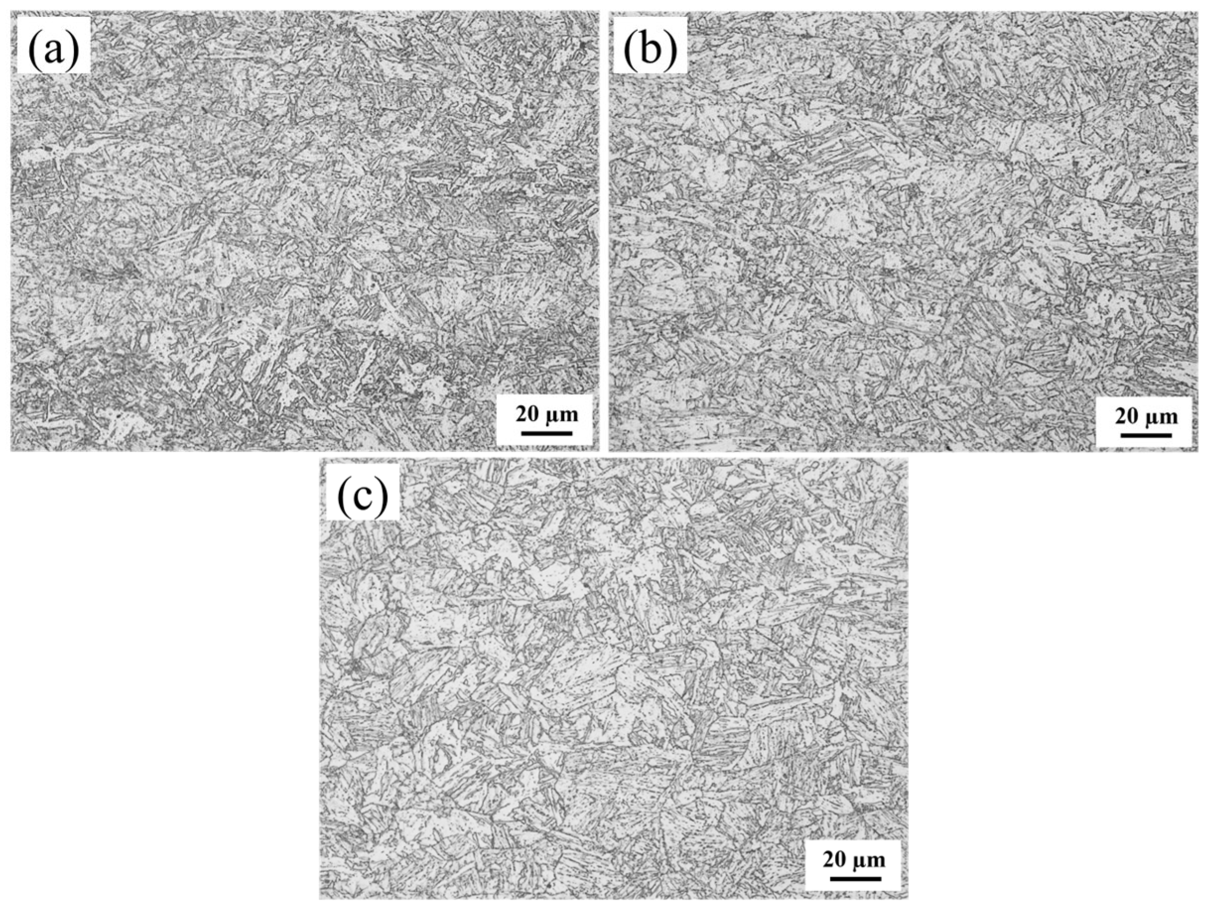 Materials 18 03466 g001