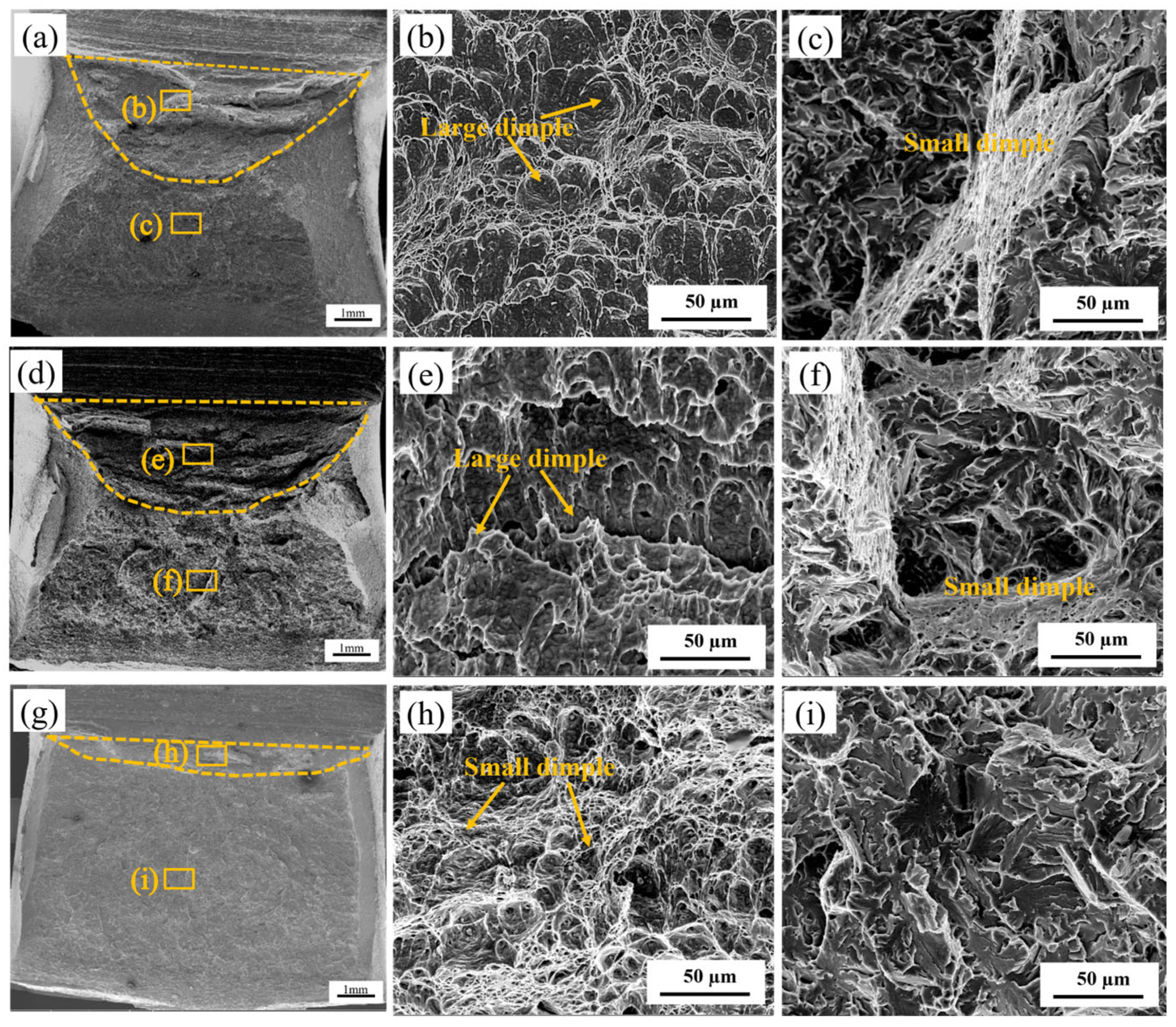 Materials 18 03466 g010
