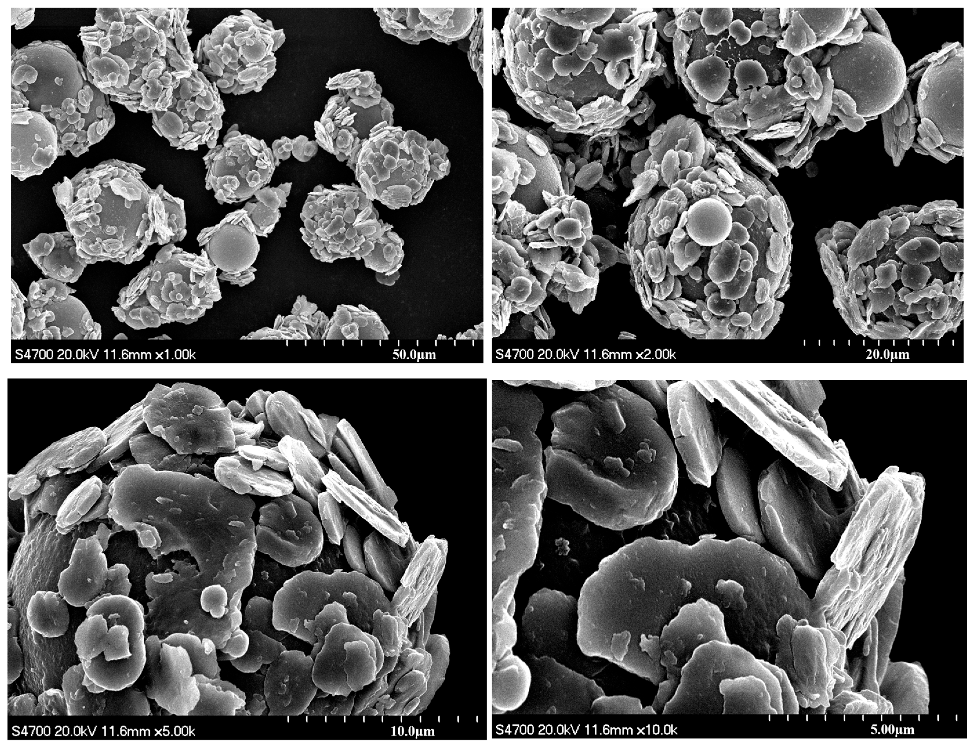 Materials 18 03469 g006