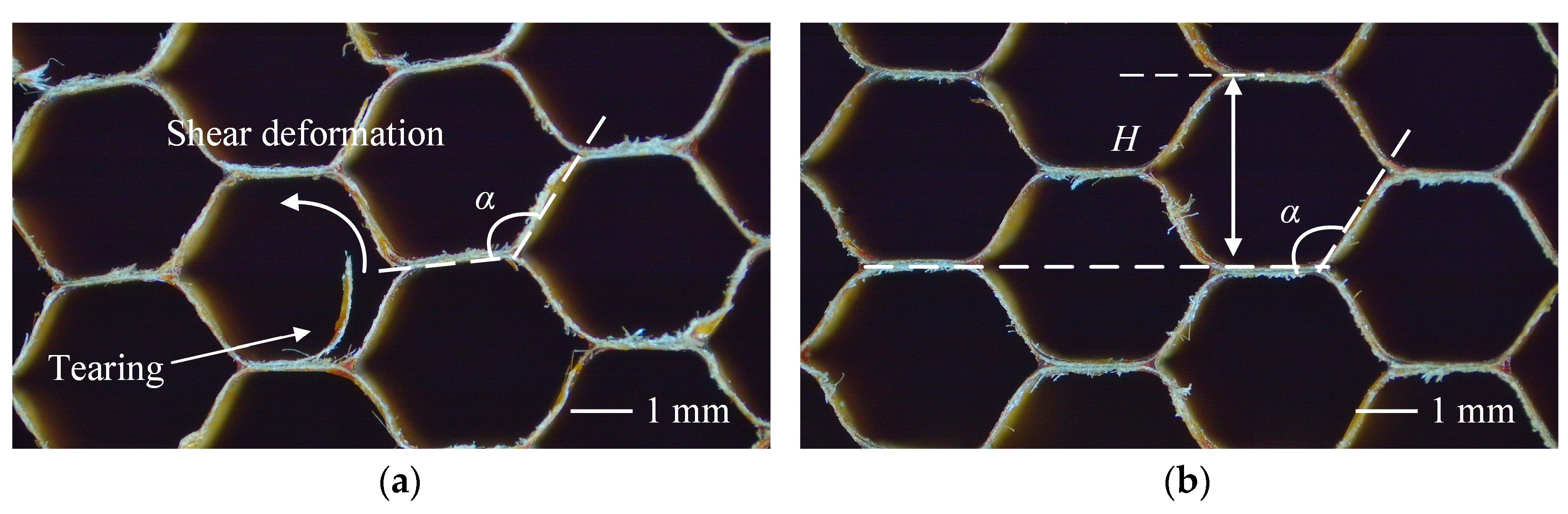 Materials 18 03476 g011