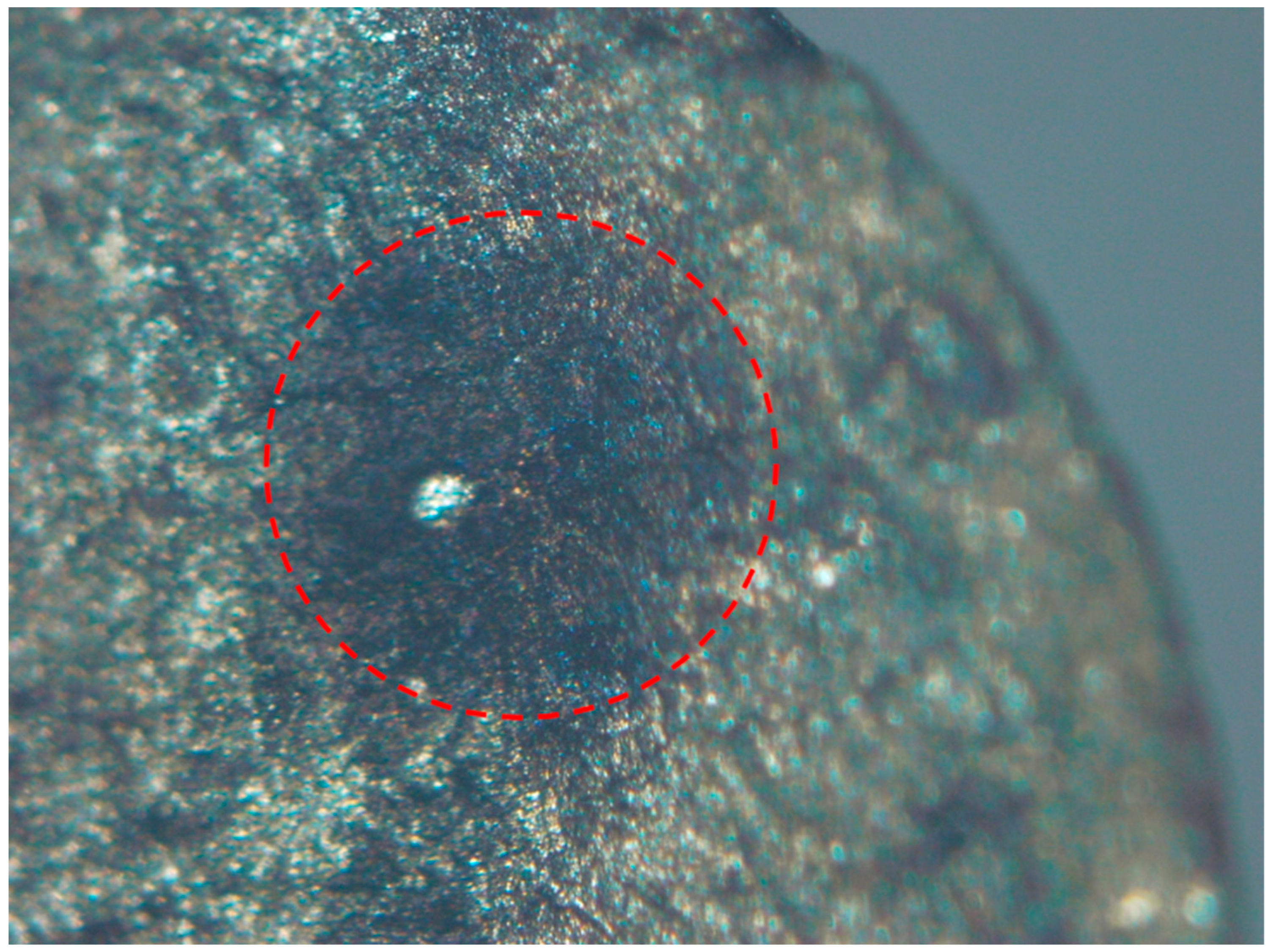 Materials 18 03481 g005