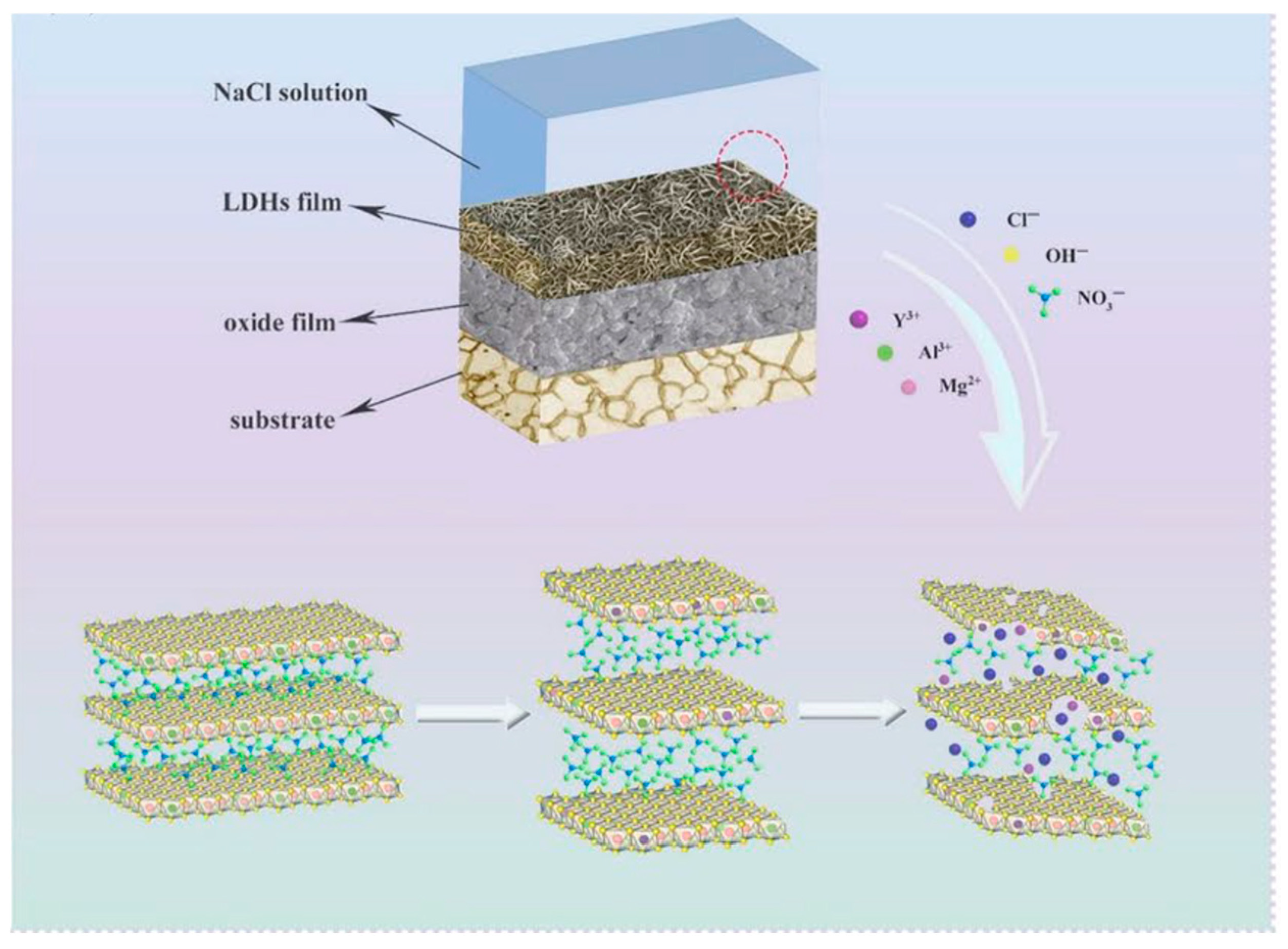 Materials 18 03488 g015