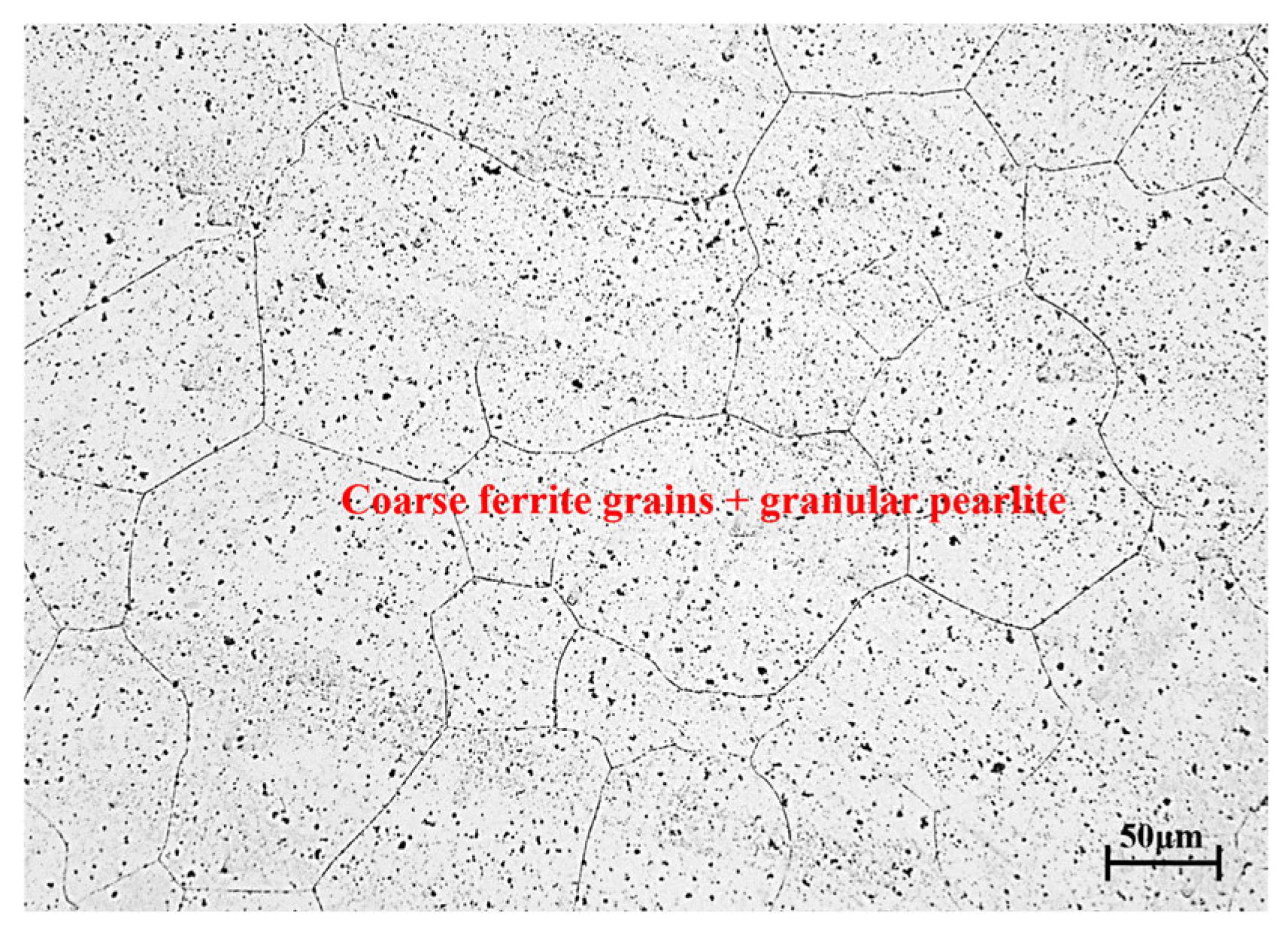 Materials 18 03531 g001